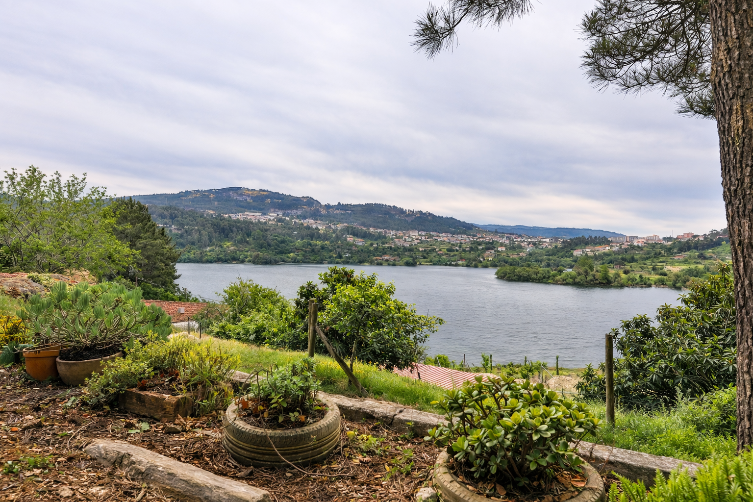 ChatGPT Image 18_02_2026, 13_36_57.png