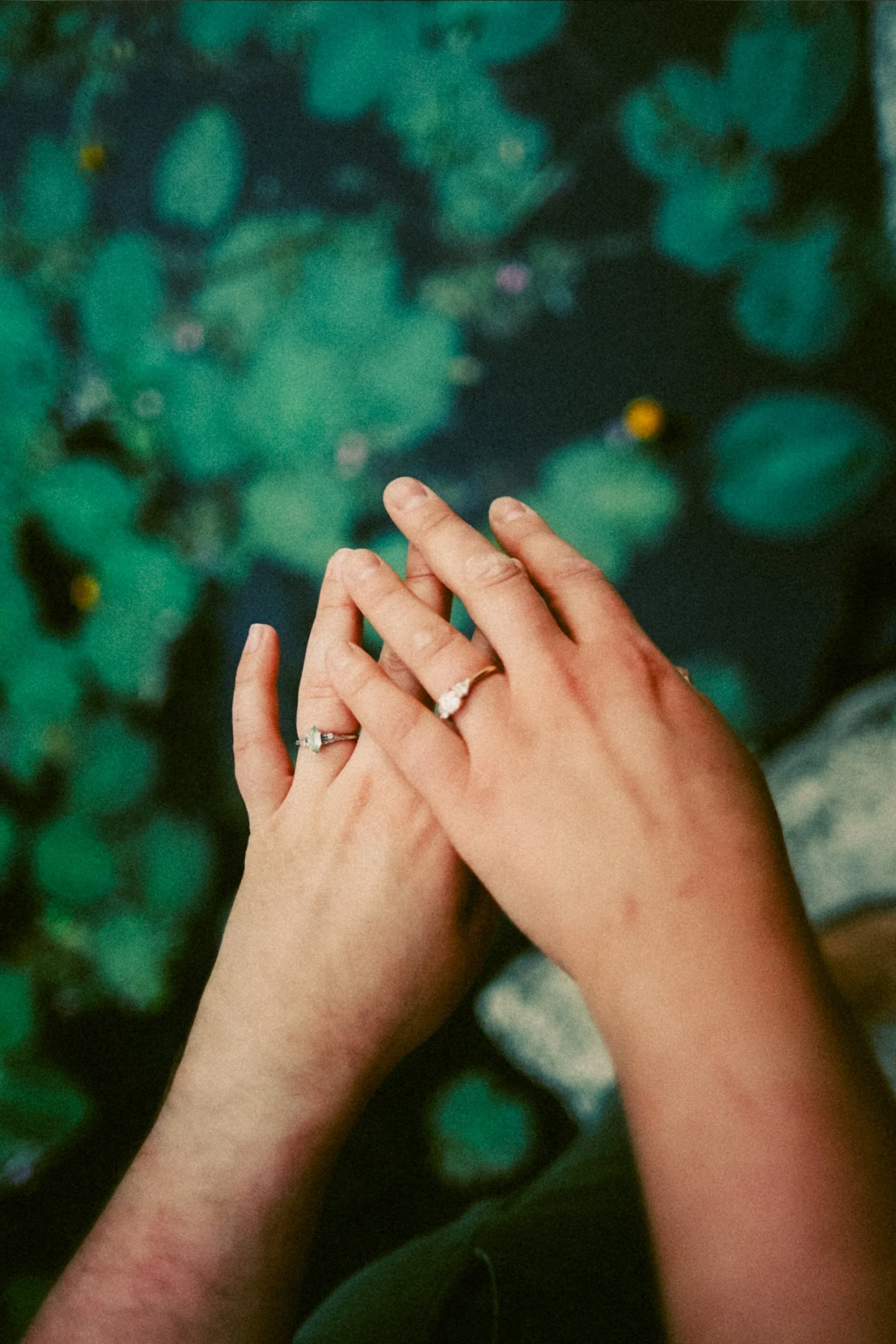 film- h+a-11.jpg