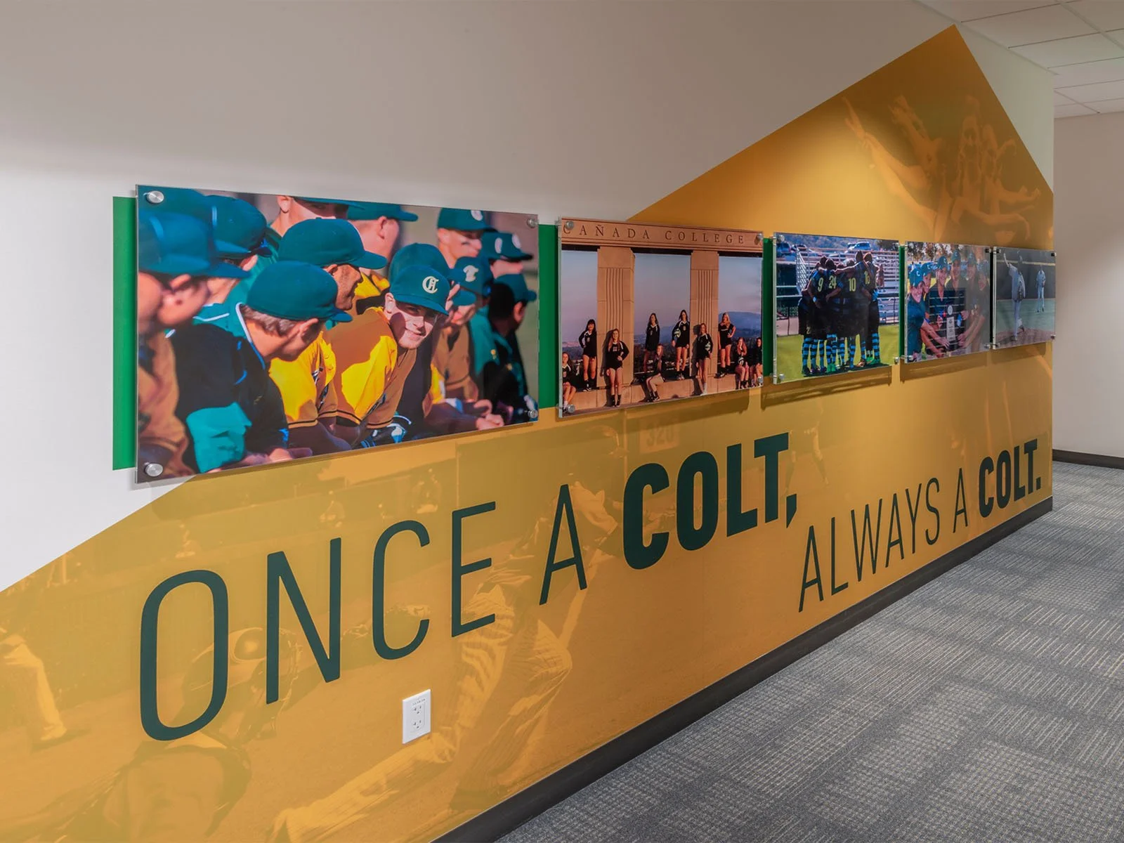 Sports graphics printed and installed by Lithographix