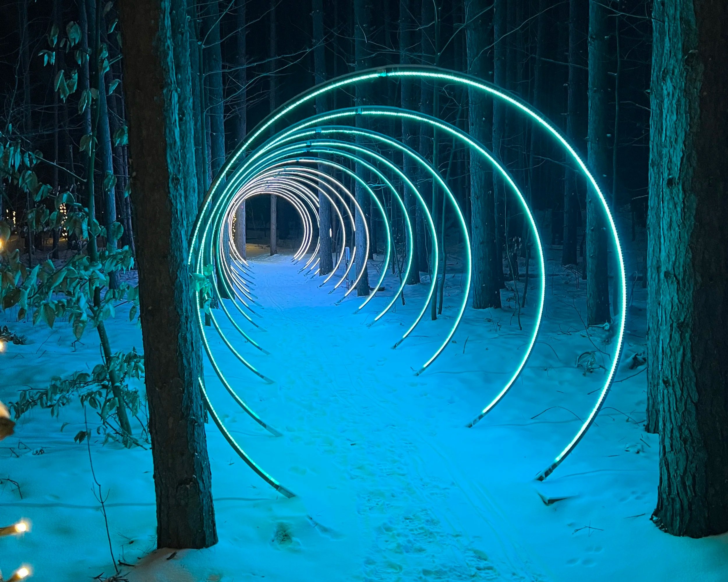 Experiential activation of enchanted trail in Harbor Springs Michigan. Night view with blue lighting on music synced circle arches throughout outdoor winter trail. Temporary install for winter season.