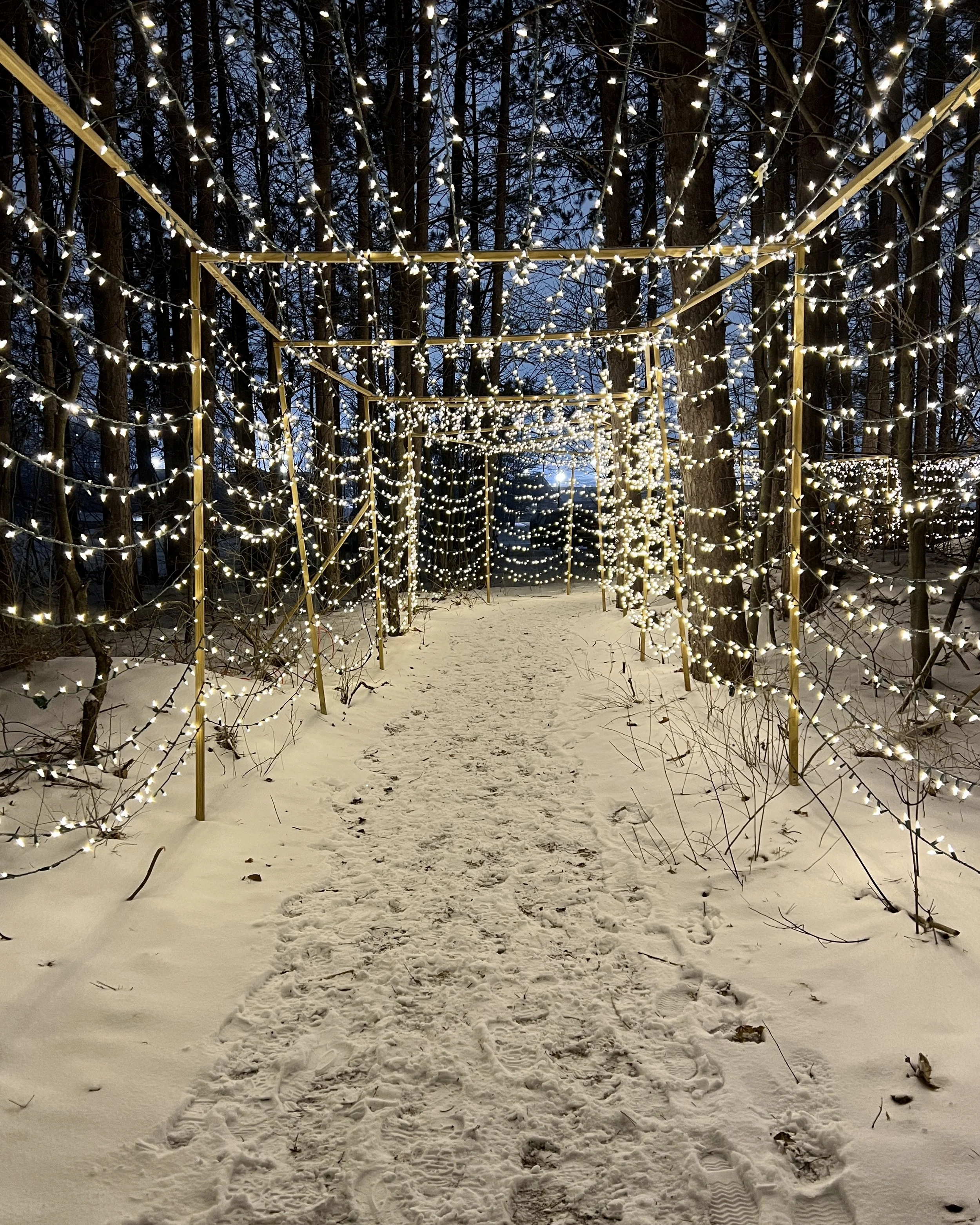 Enchanted Trail in Harbor Springs Michigan. Snow-covered pathway through a decorated outdoor area with strings of white holiday lights hanging overhead, surrounded by trees at dusk. Lights twinkle to music.