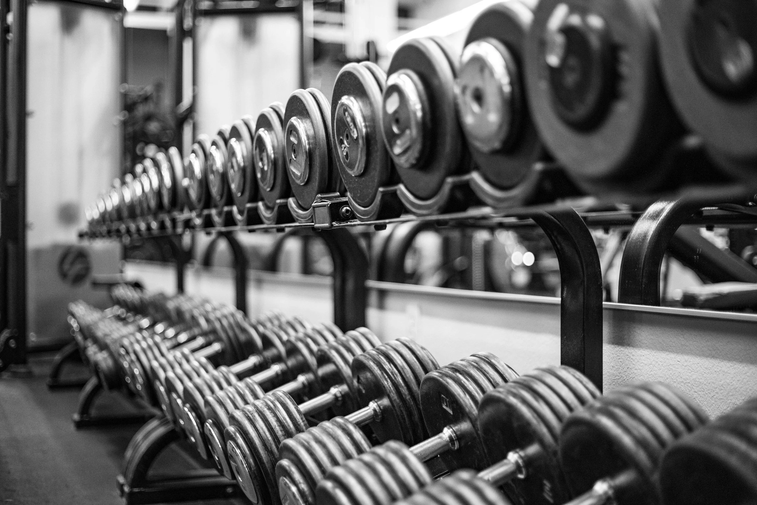 A row of dumbbells on a rack in a gym, with the weights in focus.
