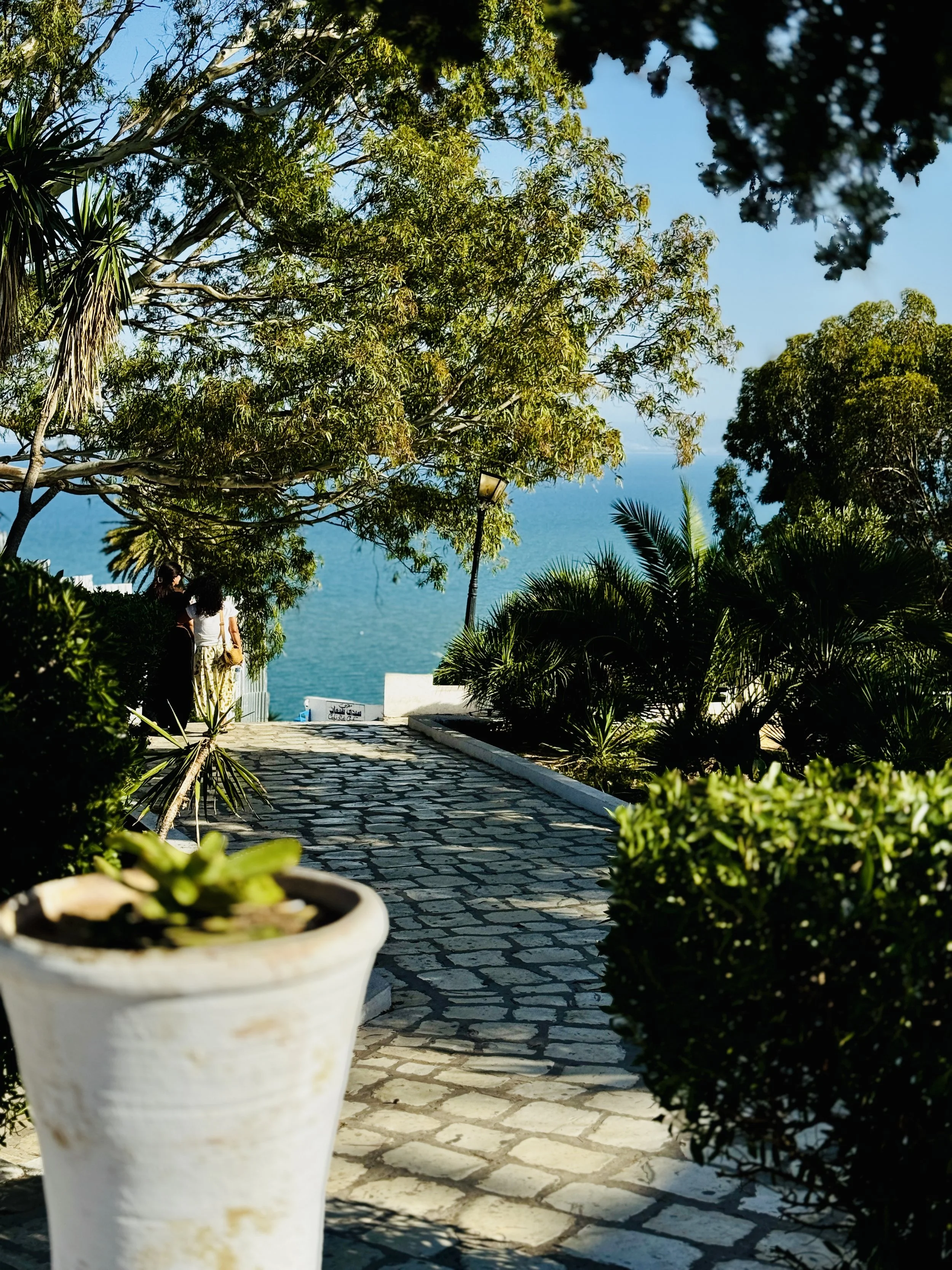 A pathway surrounded by lush green plants and trees, overlooking a body of water, with a few people seen walking in the distance.