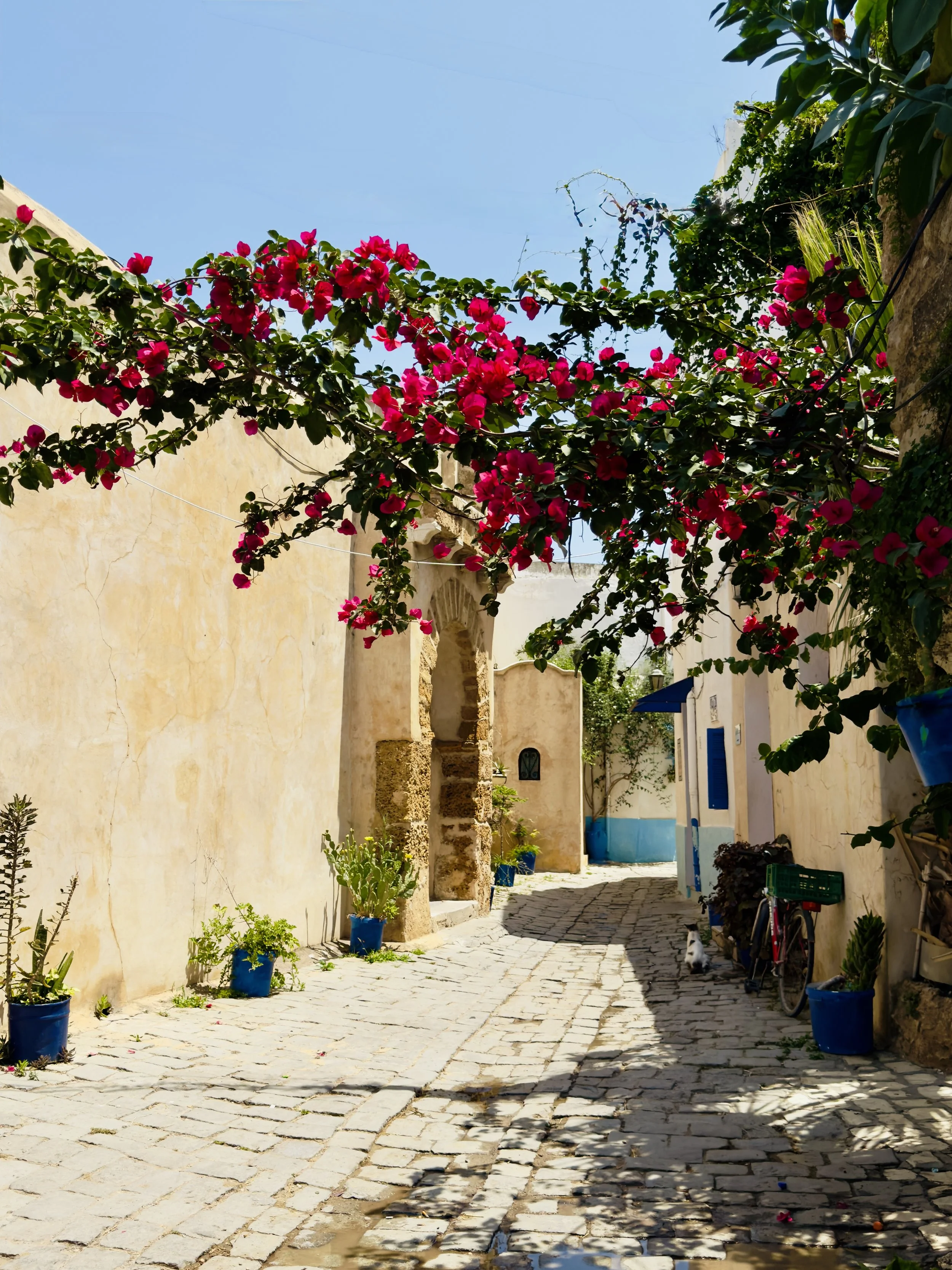 A cobblestone alleyway lined with blue flower pots filled with plants, a white building with blue accents on the right, pink bougainvillaea flowers hanging from a vine across the alley, and a black and white dog sitting near bicycles and bushes on the right.