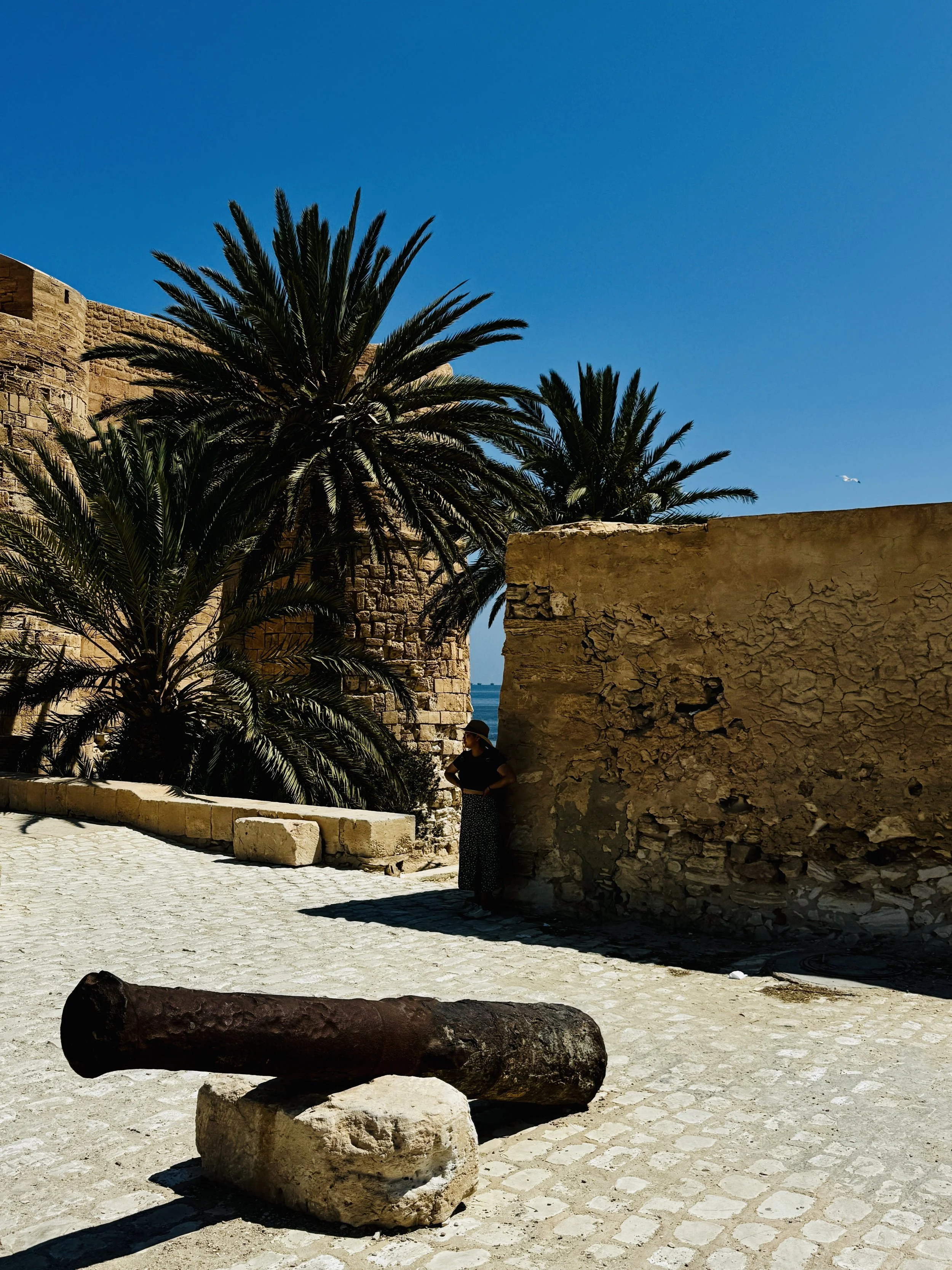 A person wearing a hat standing next to an ancient stone wall and palm trees under a bright blue sky.