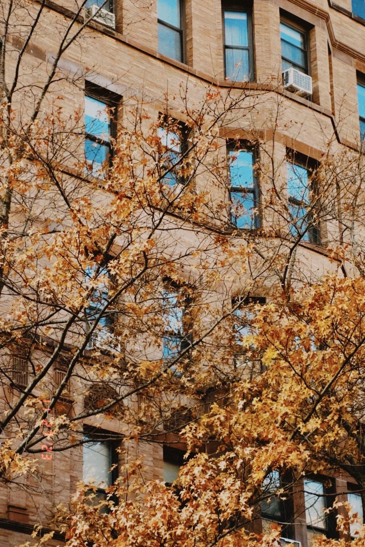 A tall brick residential building with multiple windows, some with open curtains and an air conditioning unit, partially obscured by a tree with yellow and orange autumn leaves.