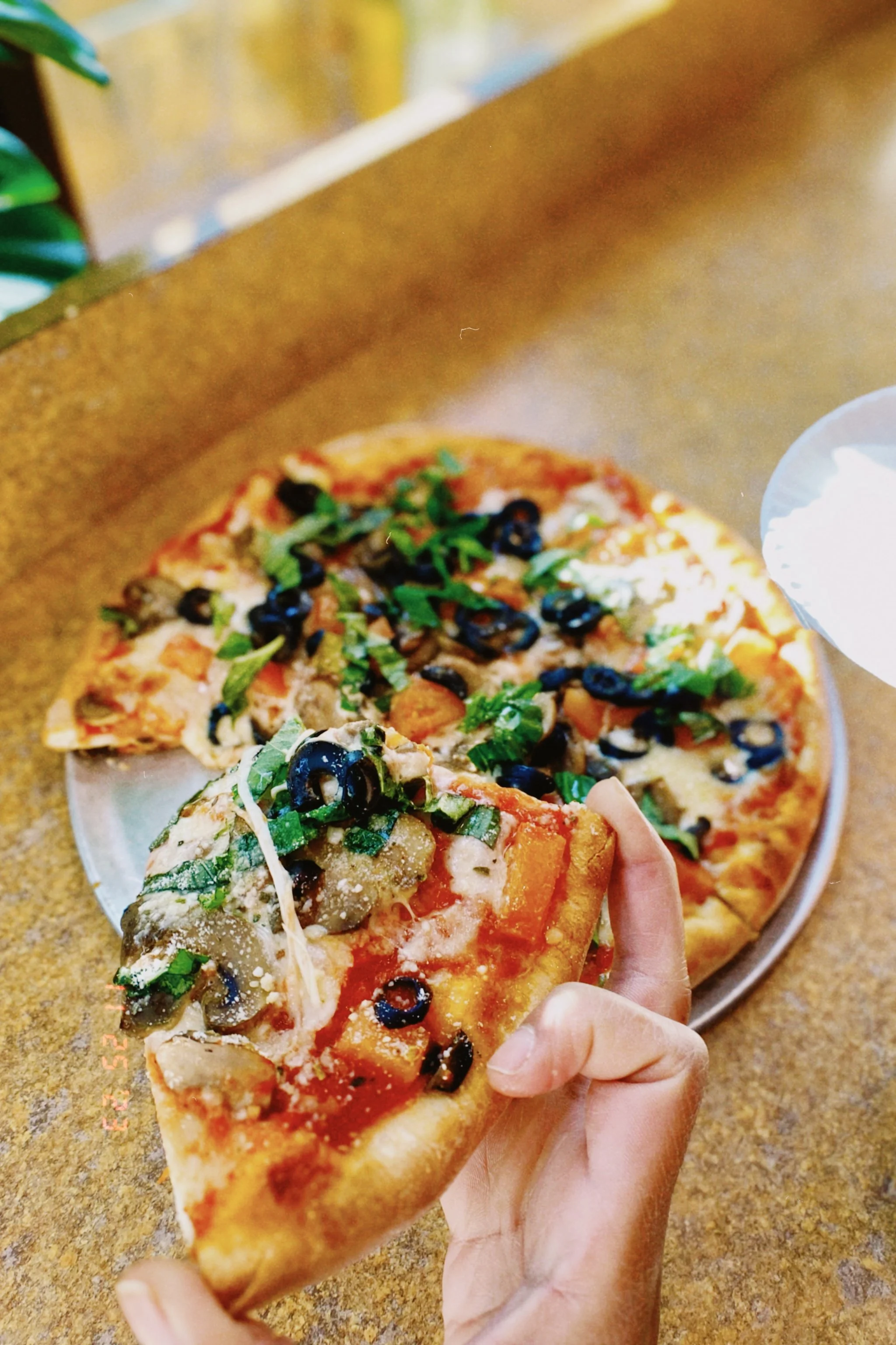 Close-up of a person's hand holding a slice of pizza with black olives, green herbs, and cheese. In the background, there is a whole pizza with similar toppings on a white plate, on a brownish countertop.