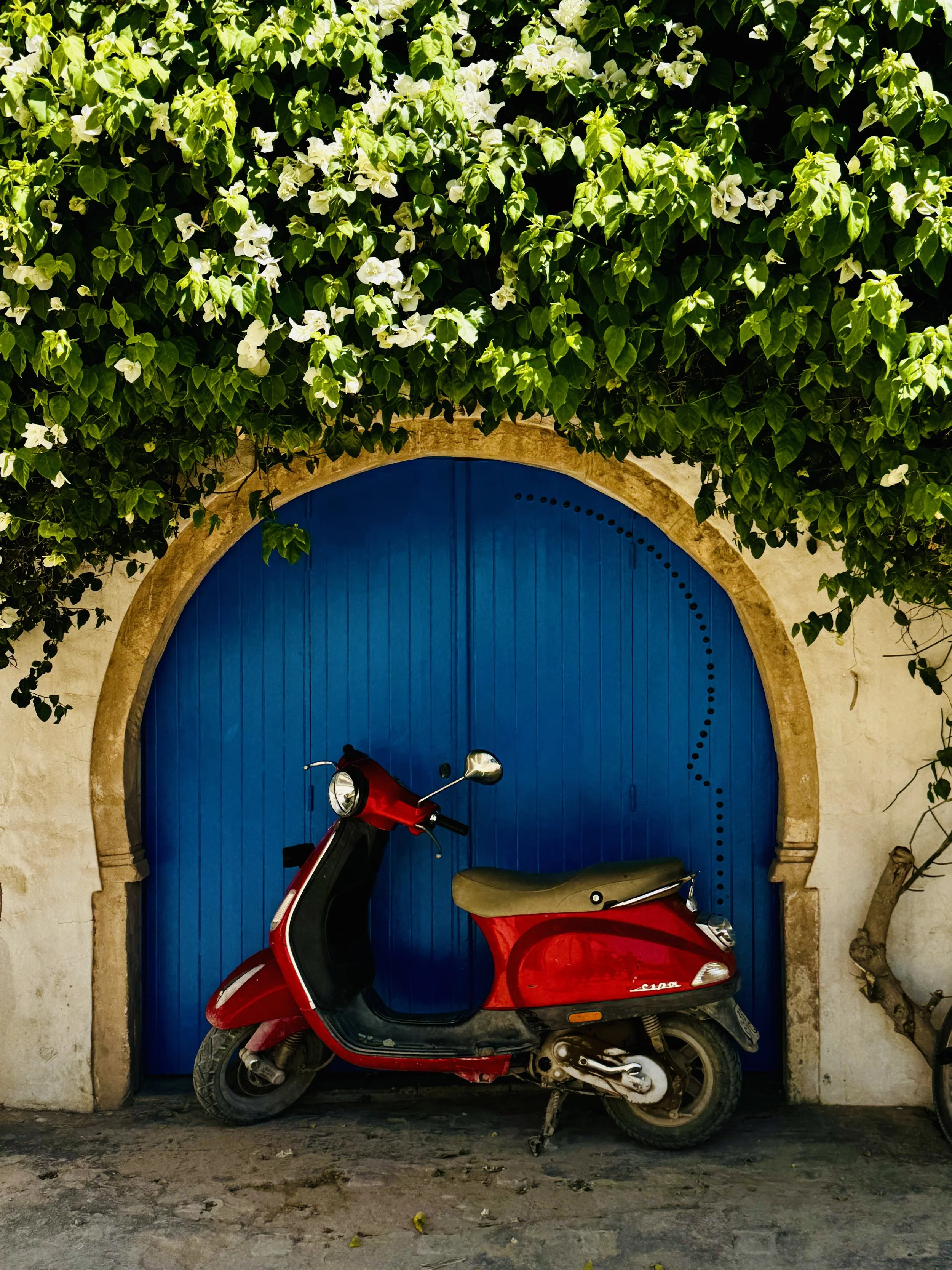 A red scooter parked in front of a vibrant blue arched door surrounded by a stone frame, with lush green foliage and white flowers above.