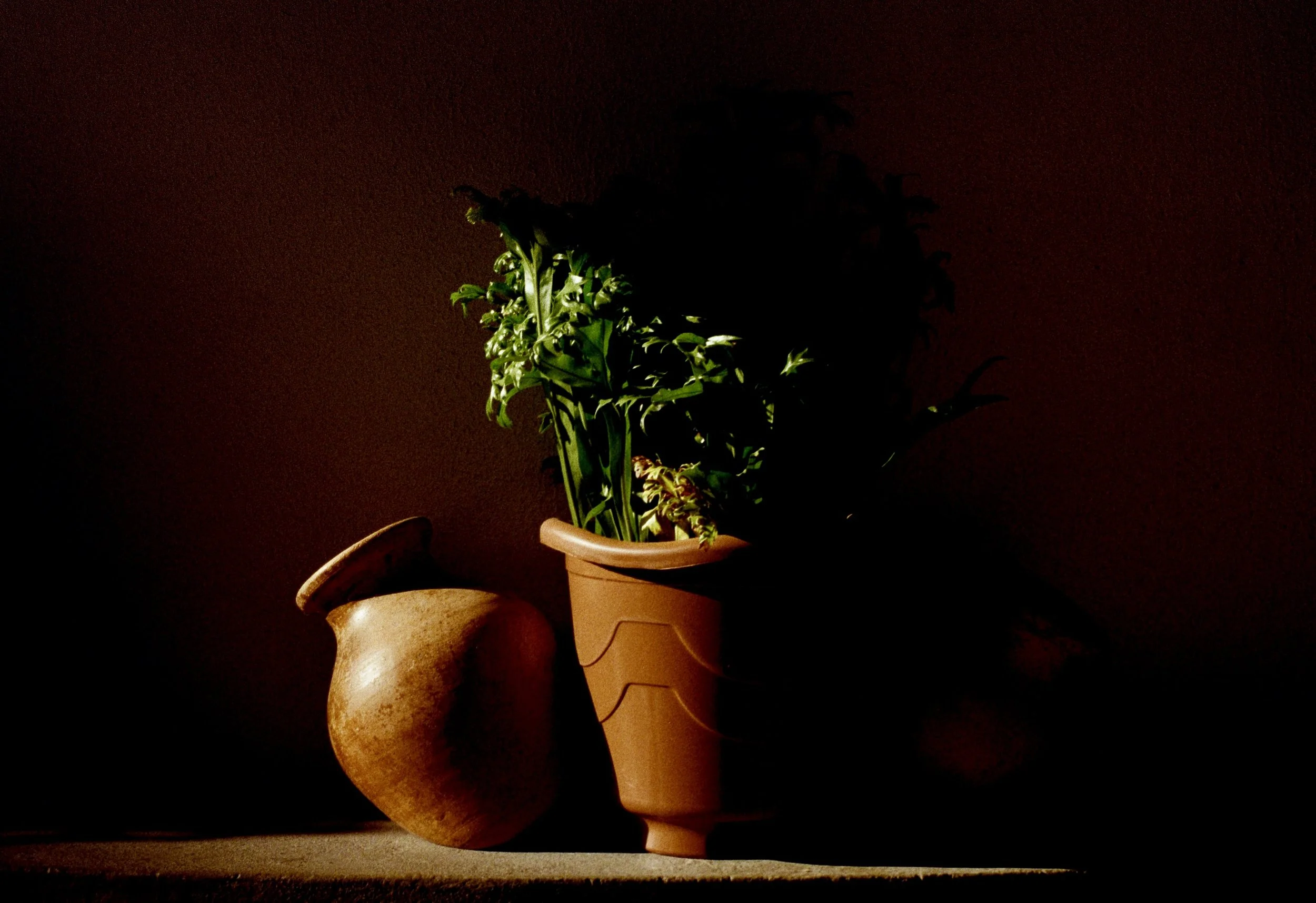 A potted plant in a terracotta pot illuminated in a dark setting, with shadows cast on the wall behind it and a small clay pitcher nearby.