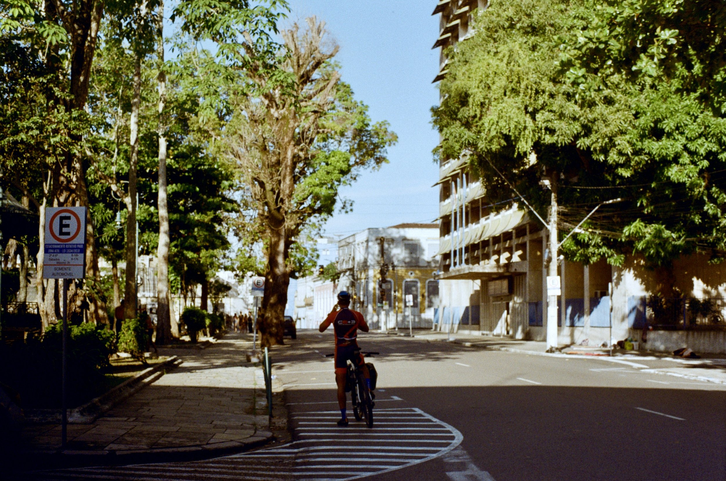A city street scene with trees lining the sidewalk, a man on a bicycle, and a building with green foliage growing on its facade. There are parking signs and a mostly clear sky.