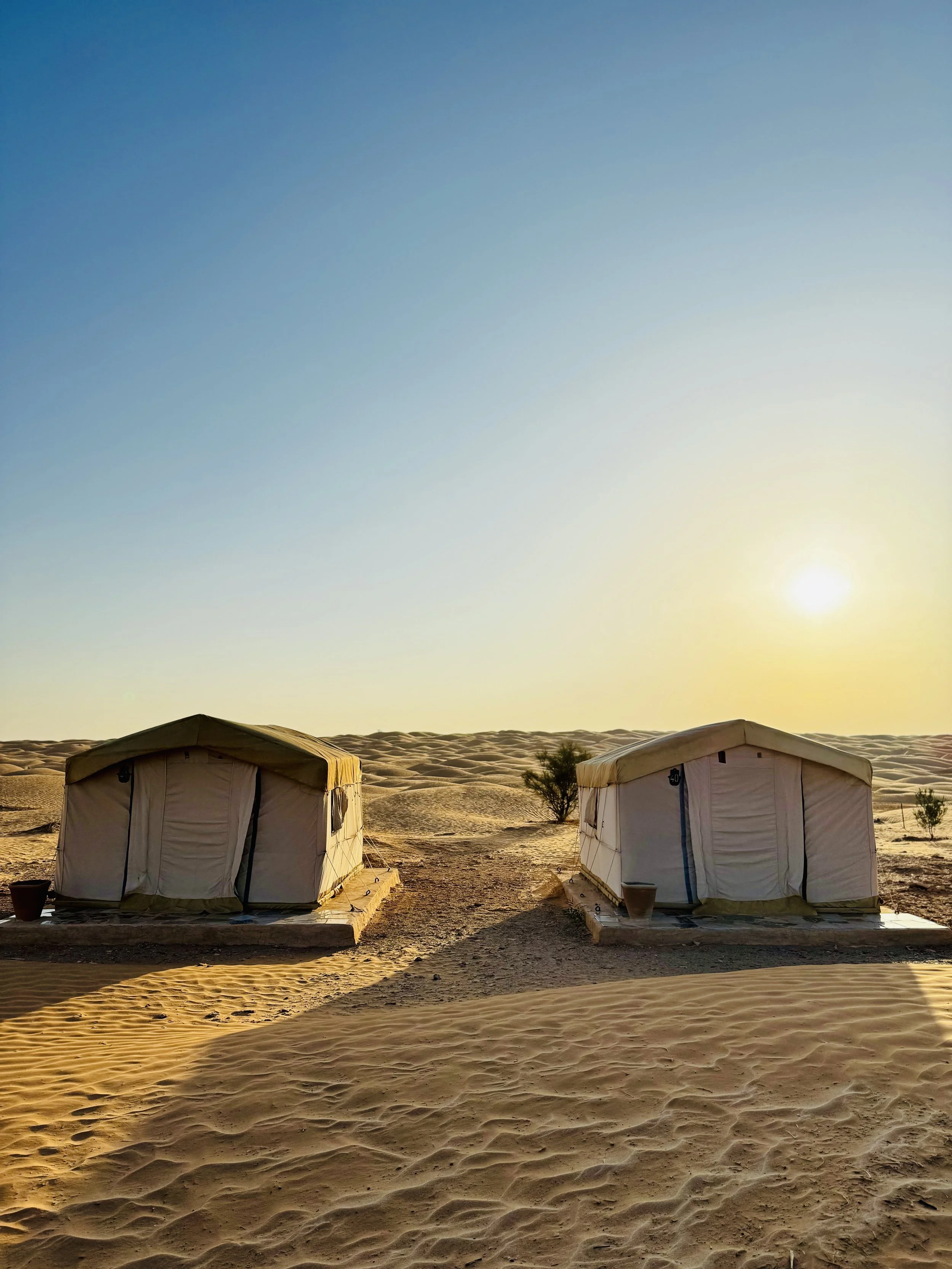 Two tents set up on sandy desert dunes with small plants, under a clear sky during sunset.