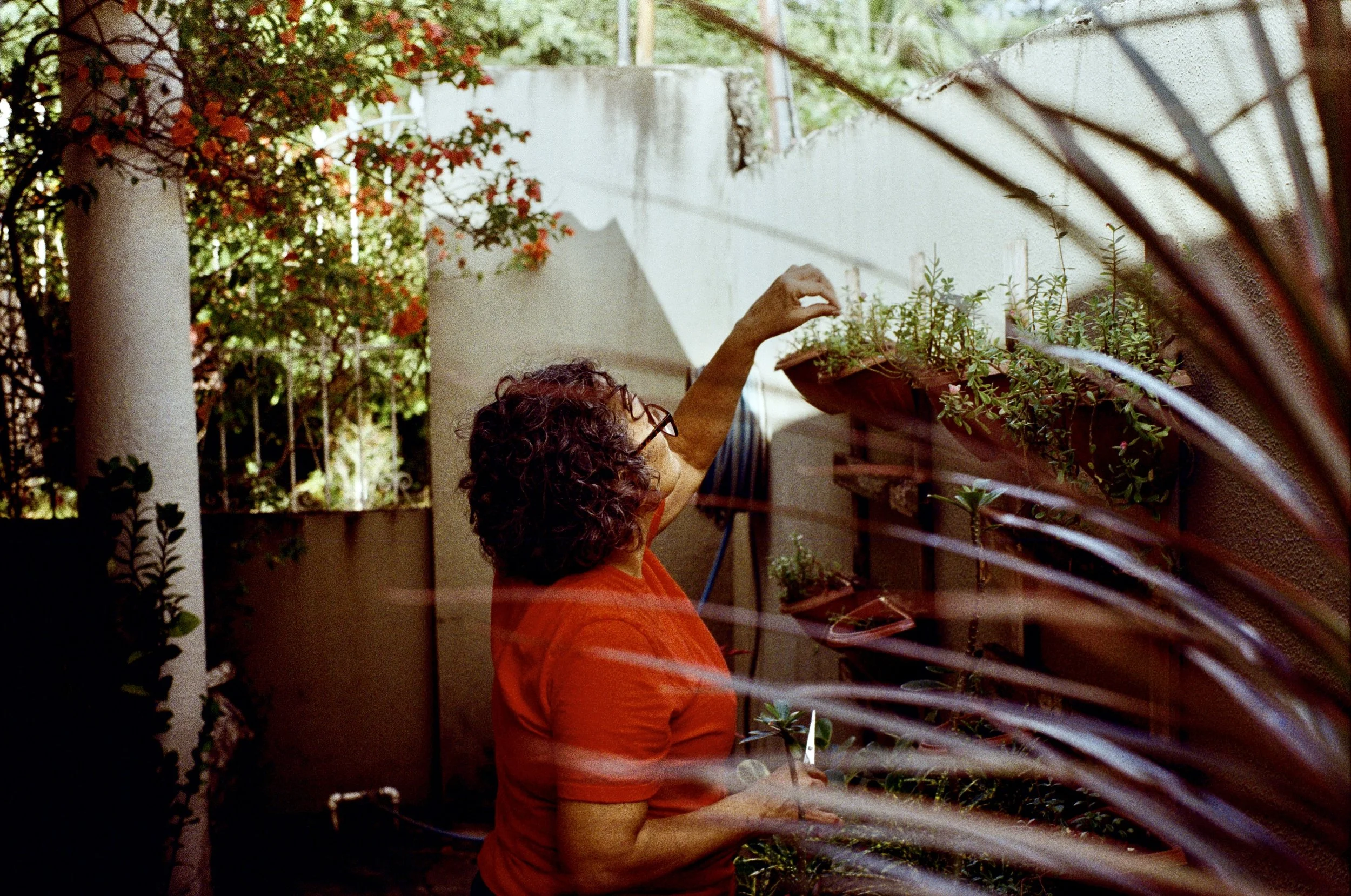 A woman with curly hair and glasses, wearing an orange shirt, is gardening on a balcony. She is reaching out to tend to potted plants on a shelf, with a backdrop of a white wall and a decorative brick ledge. There are plants and flowers, including a 