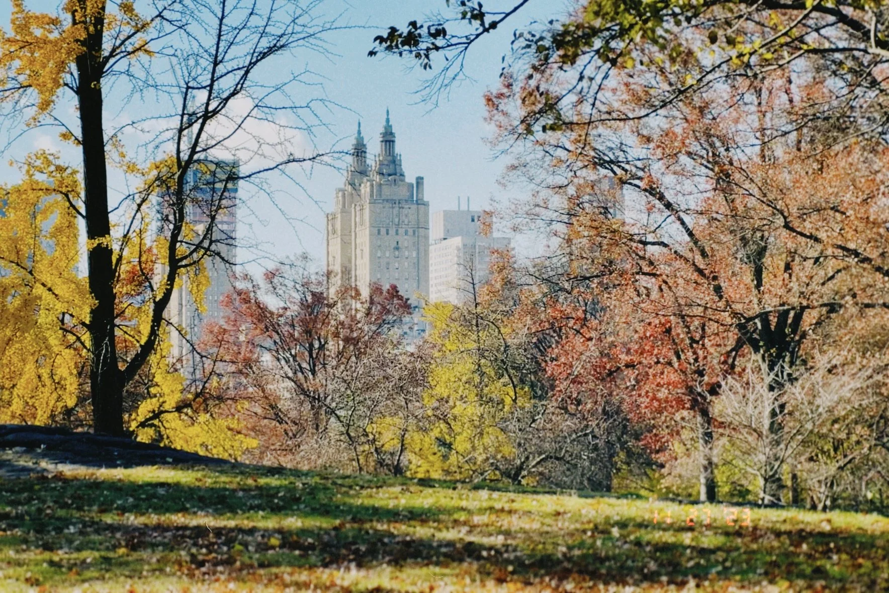 City skyline with tall historic buildings surrounded by trees with fall foliage, some yellow, orange and red, in a park on a sunny day.