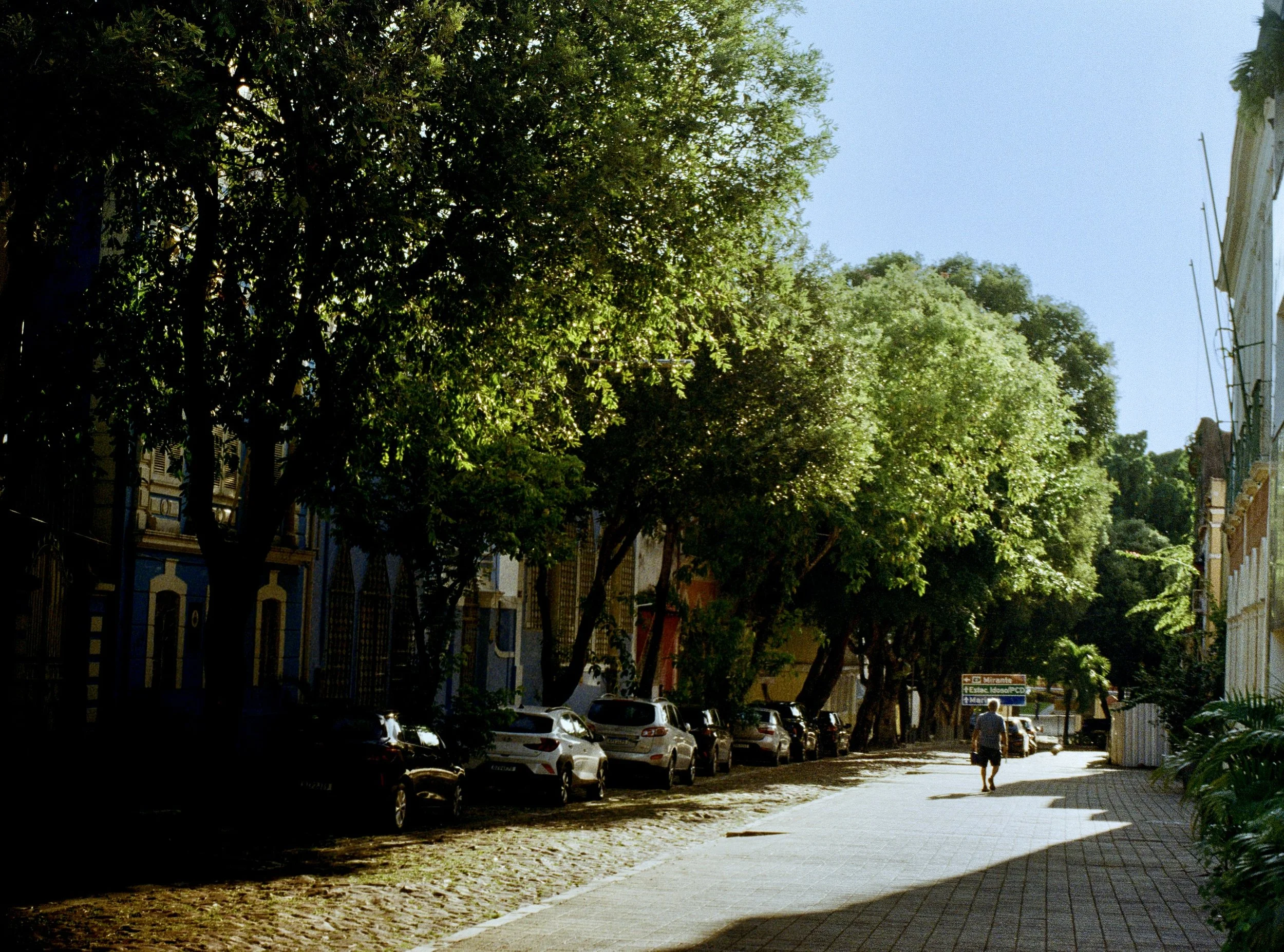 A street lined with parked cars on one side and a sidewalk on the other. There are trees with green foliage providing shade over the street and sidewalk. A person is walking along the sidewalk. Buildings are visible in the background, and the sky is 