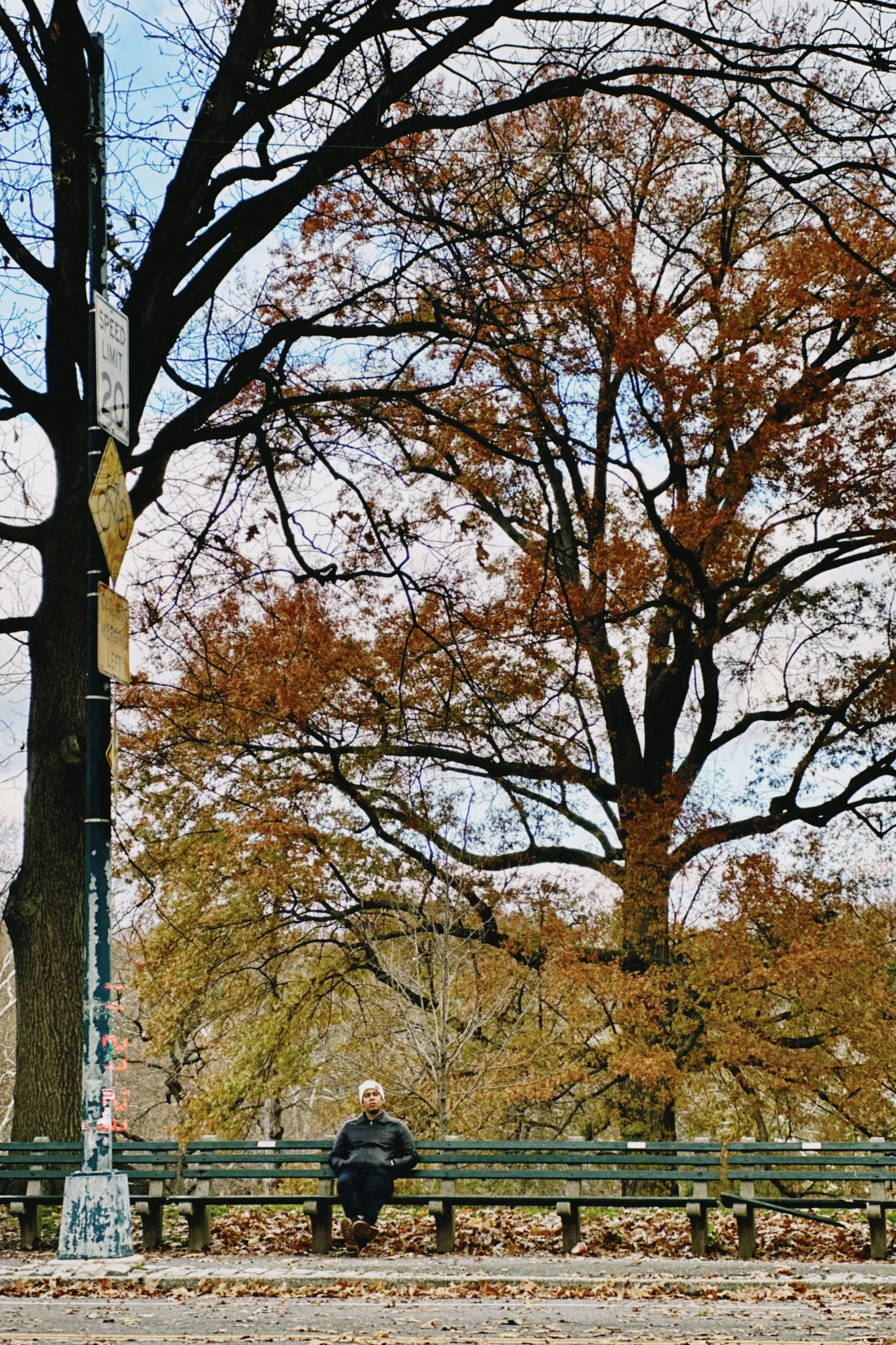 A person sitting on a park bench in an autumn setting with large trees with colorful fall foliage in the background. The person is wearing a dark jacket and pants, with their hands in their pockets. There is a tall pole with signs and a railing along the front of the bench.