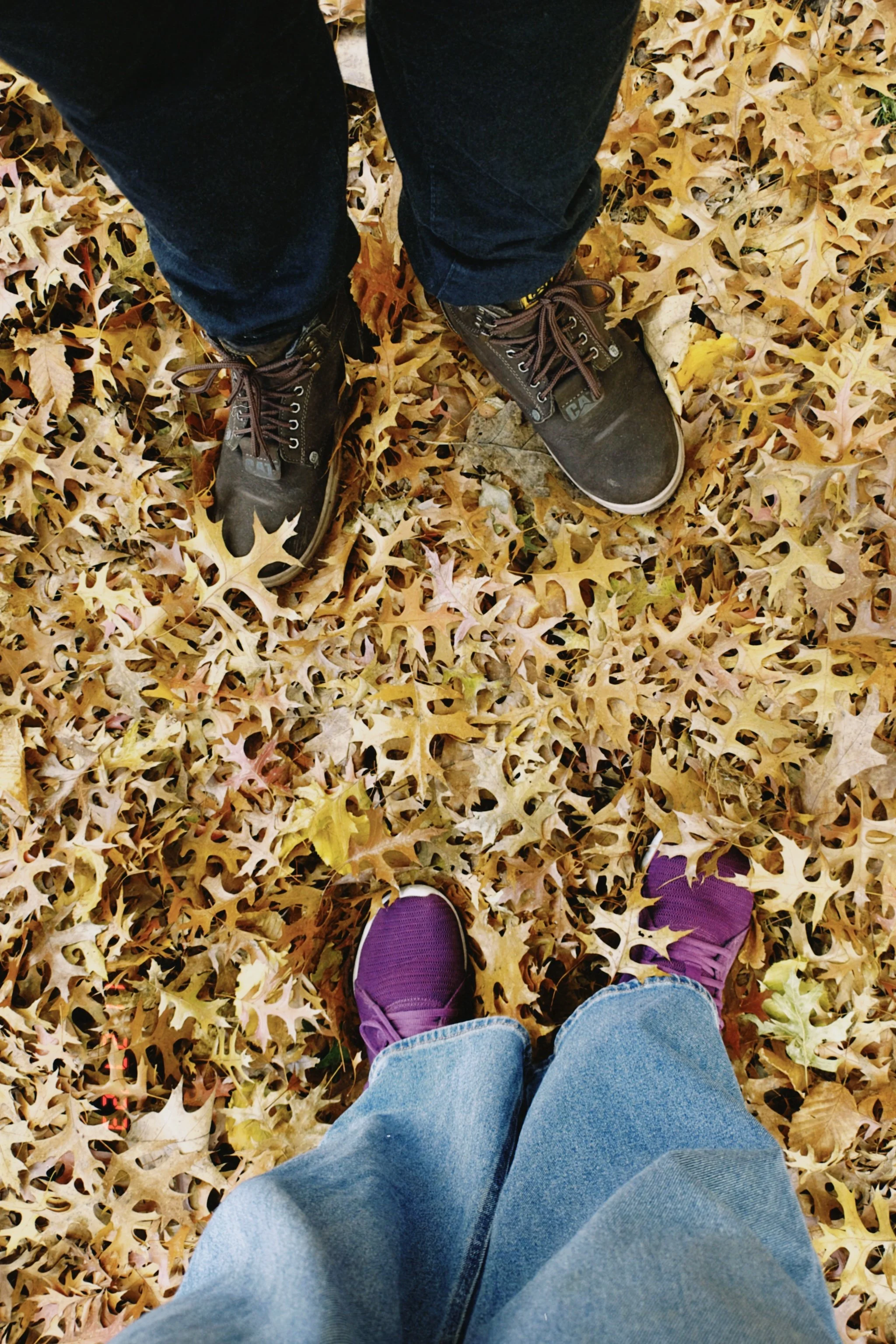 From a downward angle, a person is standing on a ground covered with fallen autumn leaves, wearing purple sneakers, blue jeans, and black boots, with another person in brown boots and dark jeans nearby.