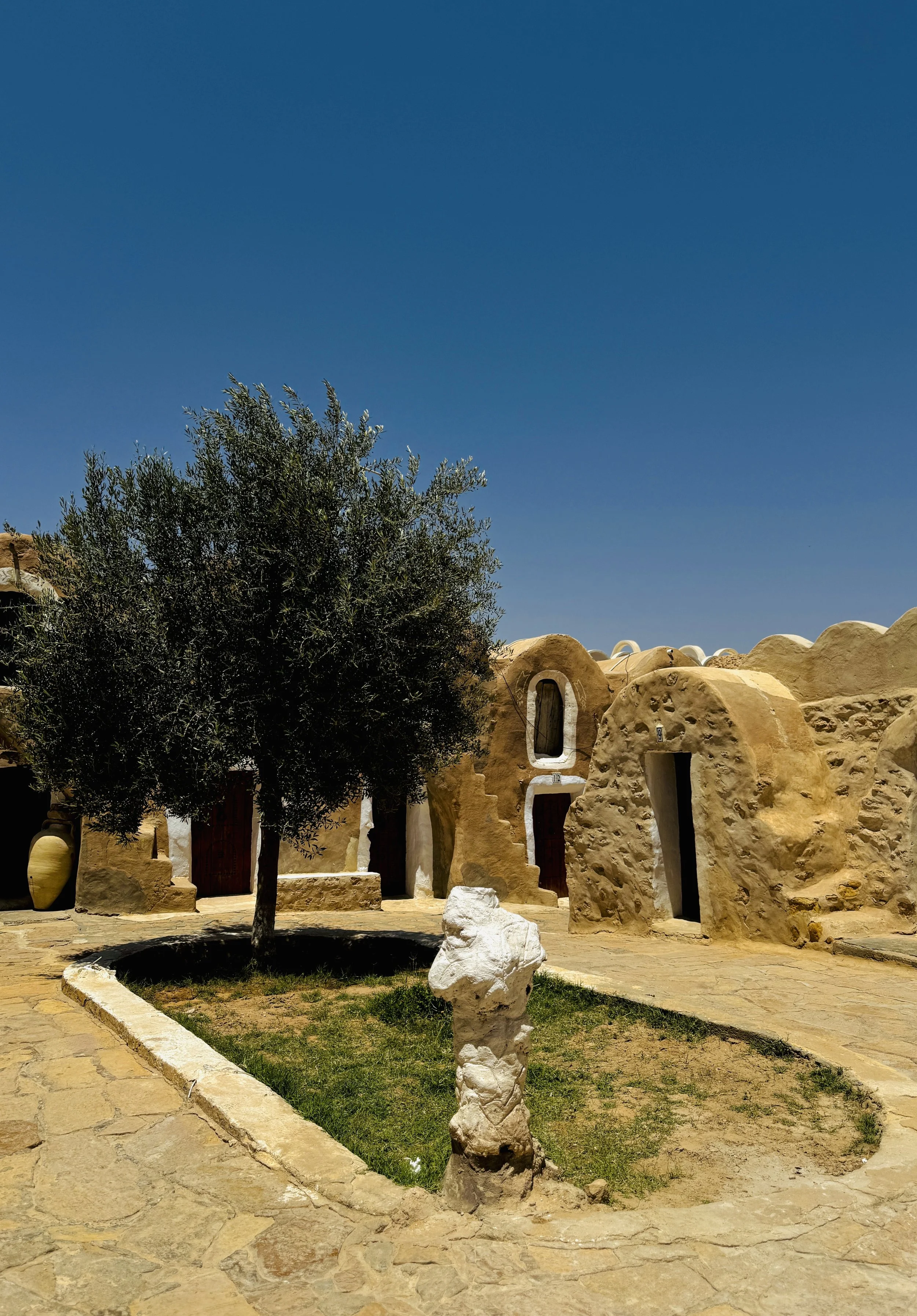 A scene with a clear blue sky, a tree with green leaves, and traditional adobe-style buildings with curved, rounded entrances and small windows. There is a stone pathway and a white rock in the foreground.