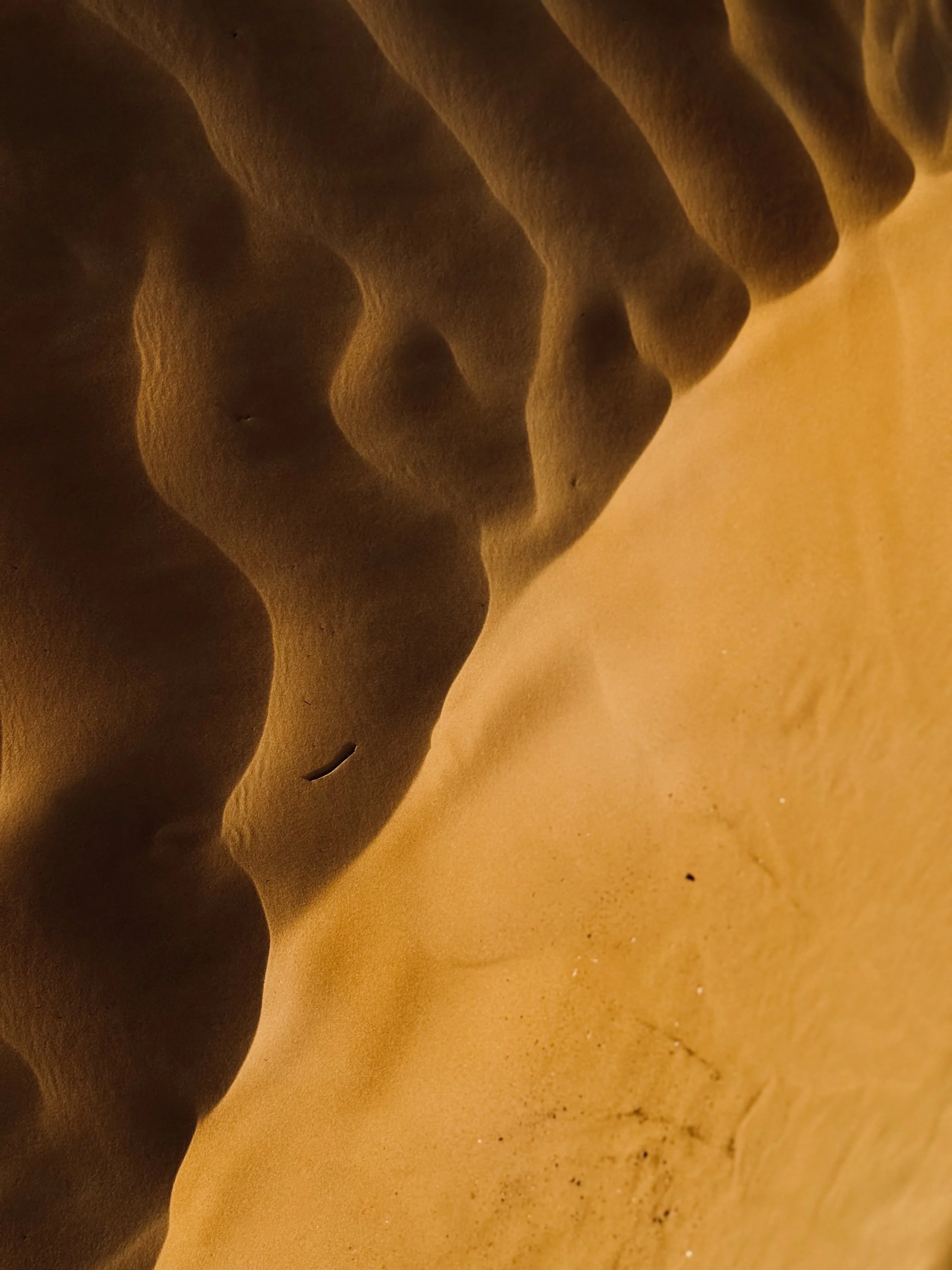 Close-up of a person's face with closed eyes, lying on a surface, with warm lighting and a sandy texture nearby.