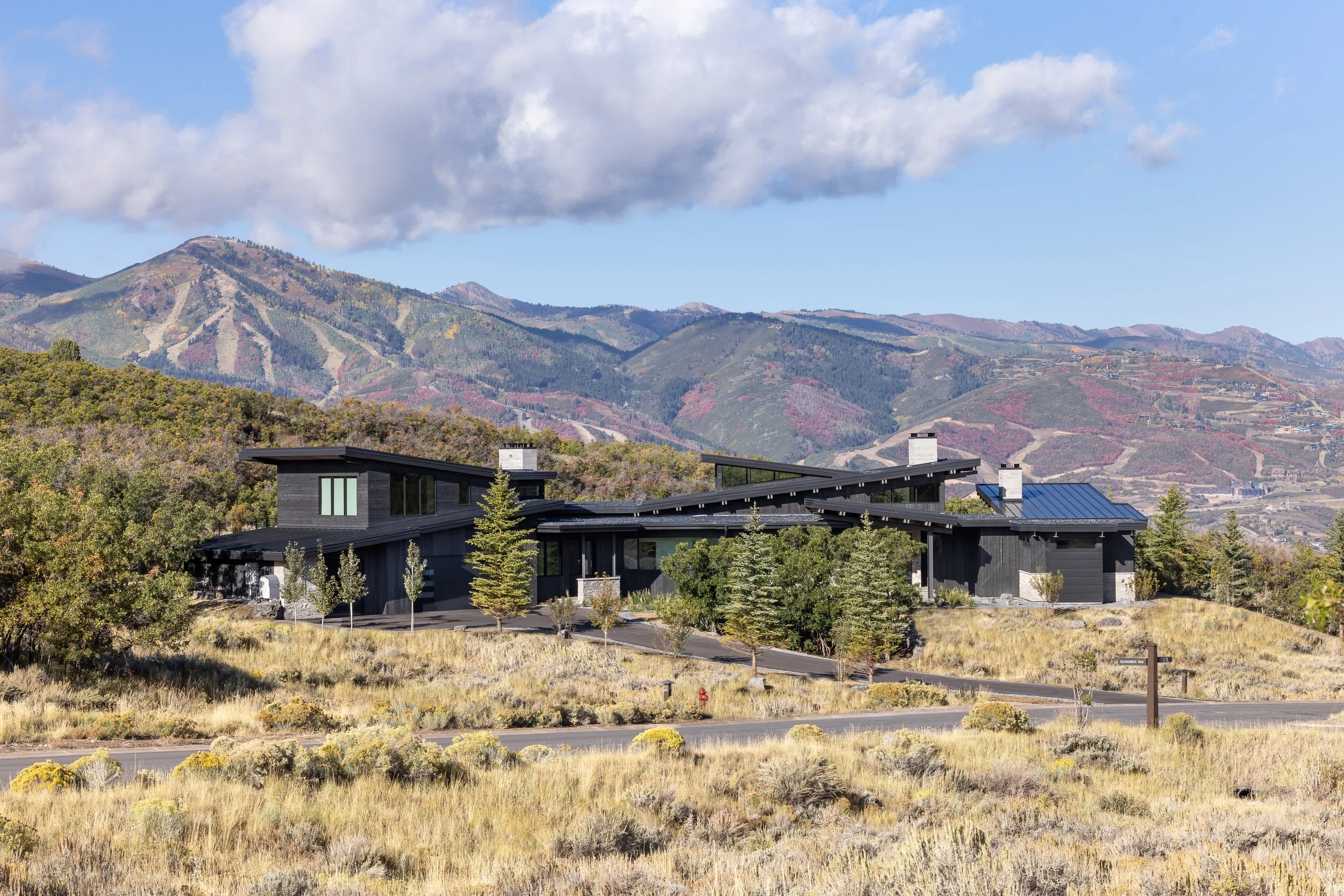 A modern black house with multiple levels and a sloped roof is situated amidst a landscape of trees, grass, and mountains in the background.