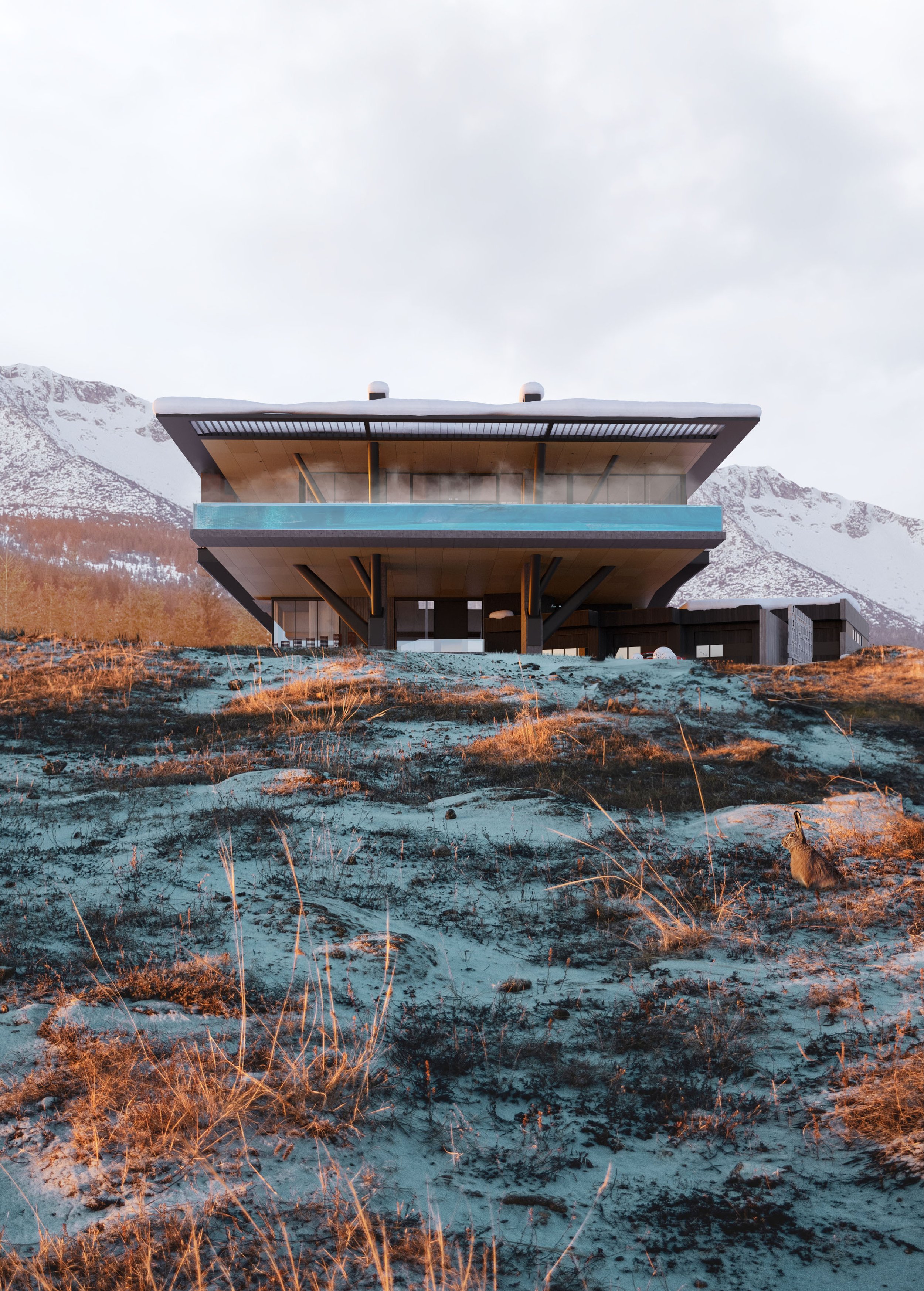 Modern house on a hillside with snow and mountains in the background, dry grass in the foreground, and a rabbit sitting on the ground.