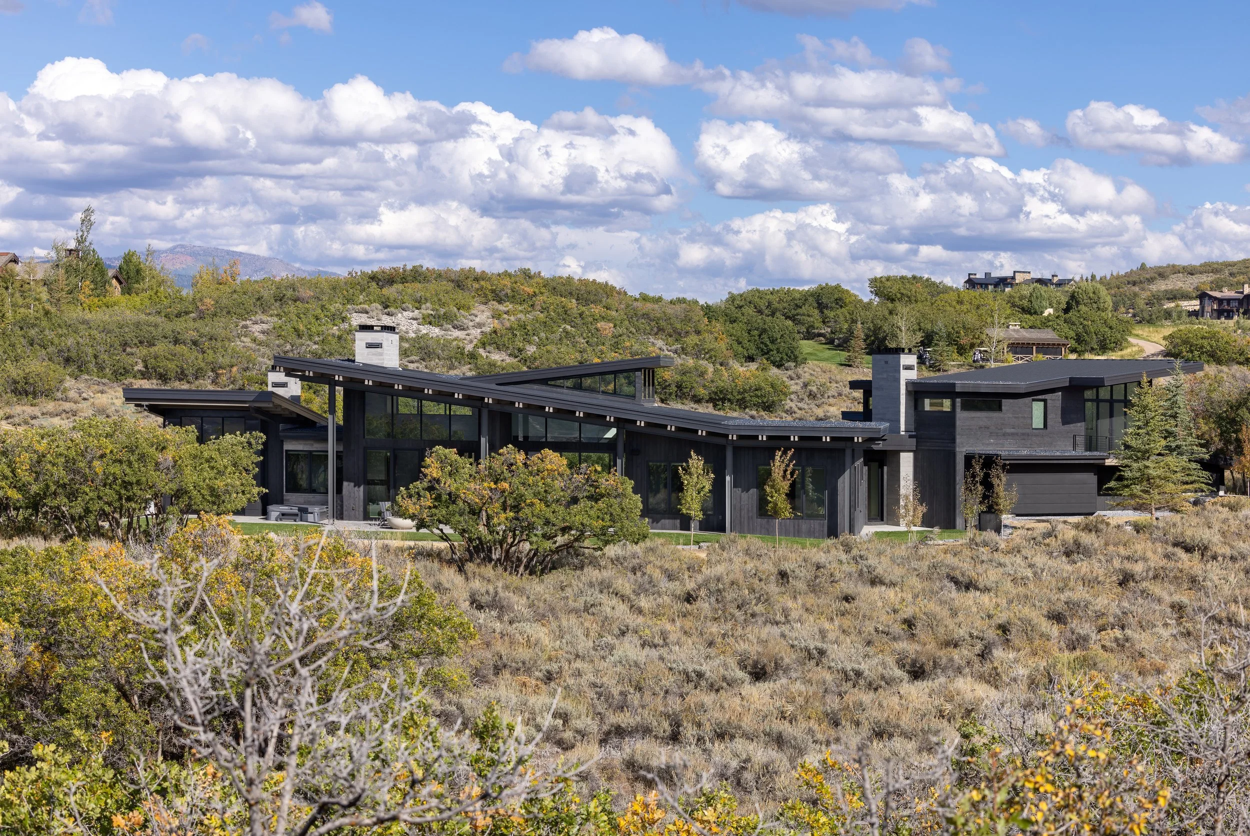 Modern black house with large glass windows, situated on a rural hillside surrounded by shrubs and small trees under a partly cloudy sky.