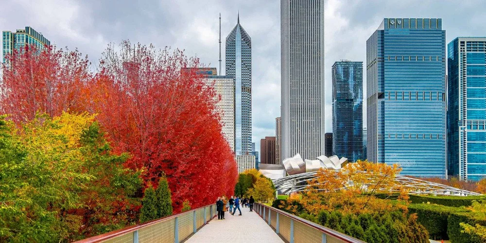 Thanksgiving in Chicago: How We Made It a Points-Powered Family Trip