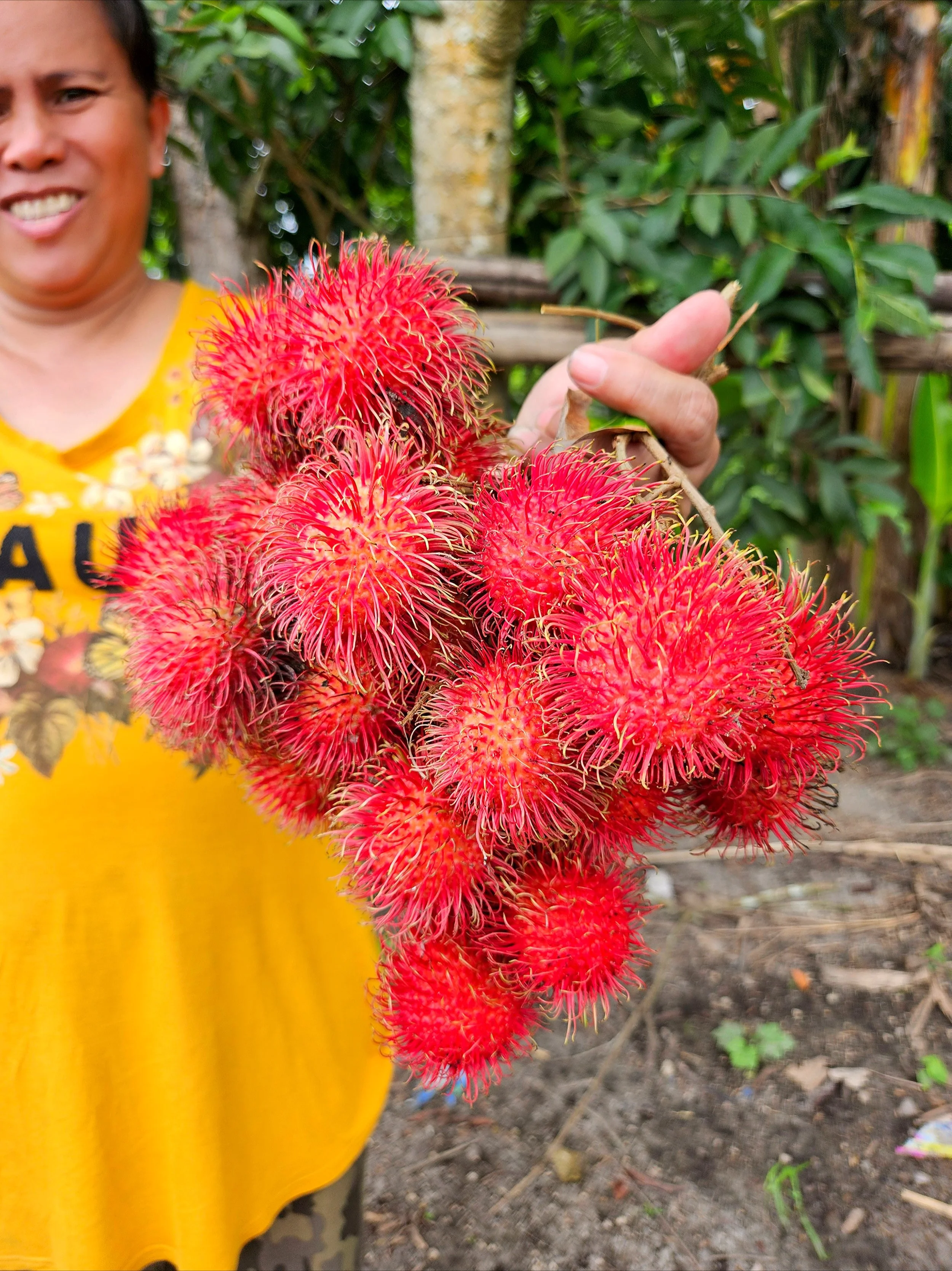 Naturally “Organic” - A Philippines Way Of Life