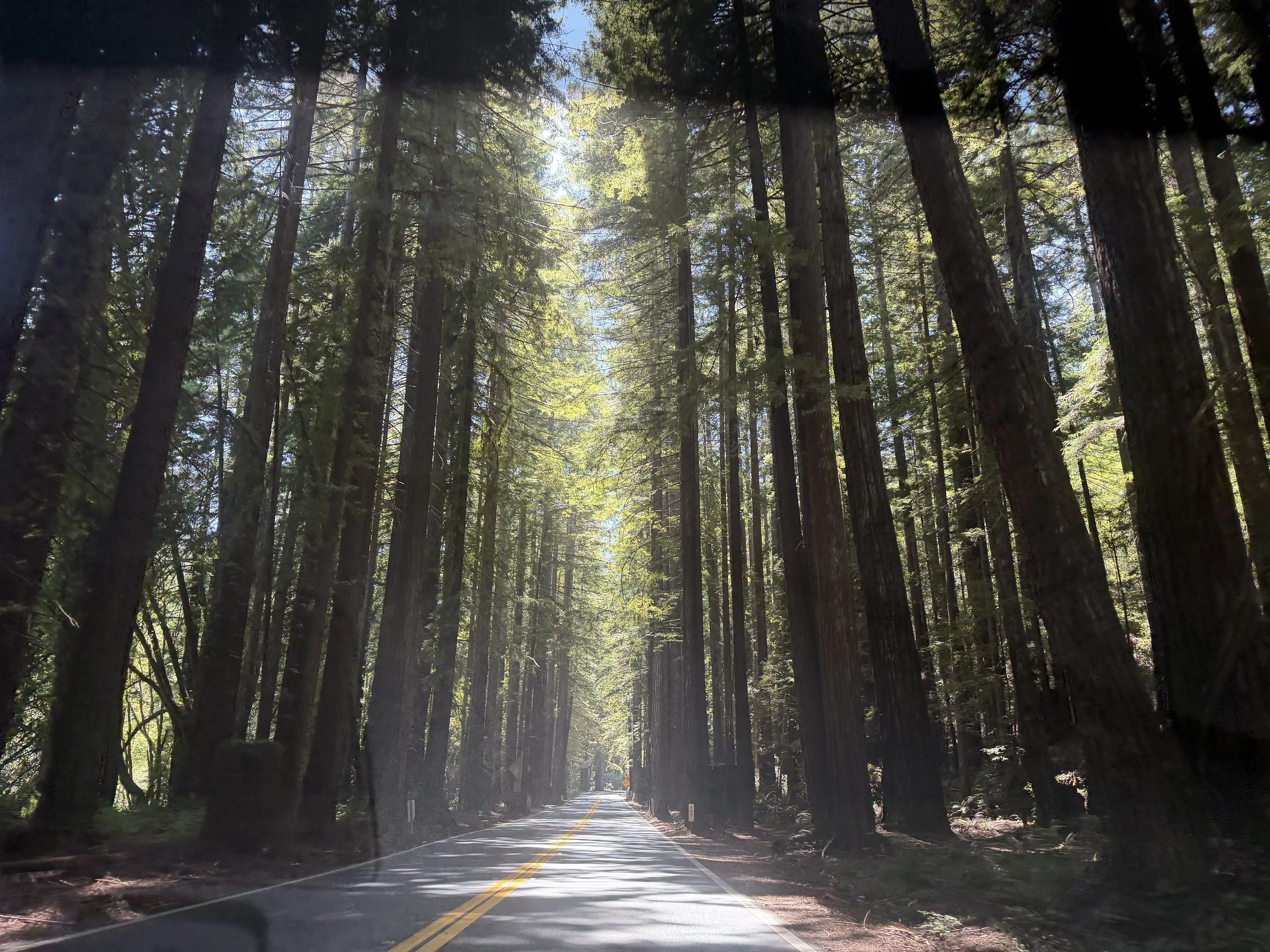 A Culinary Road Trip : Mendocino (Part 2)