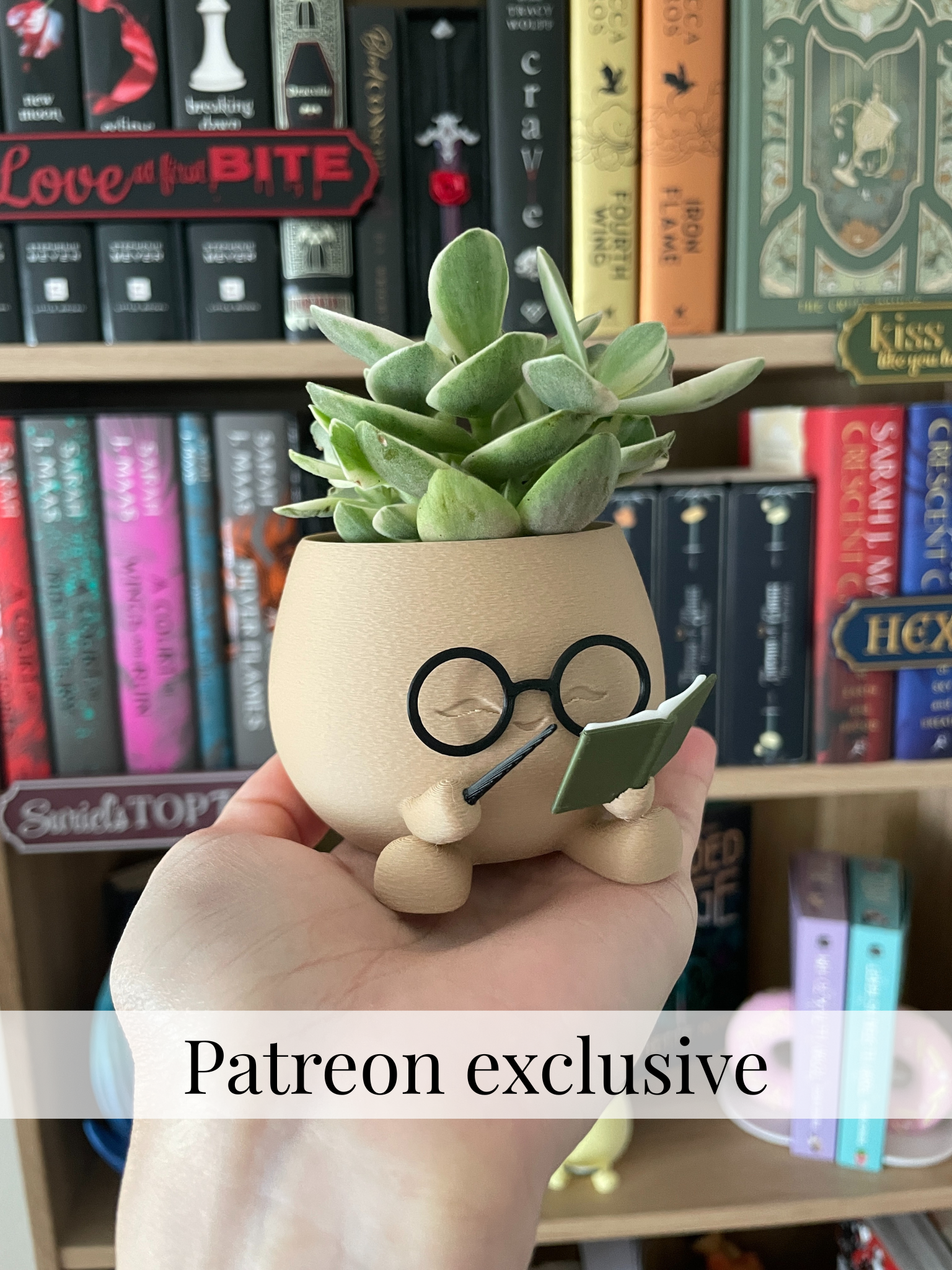 Reading Wizard Planter