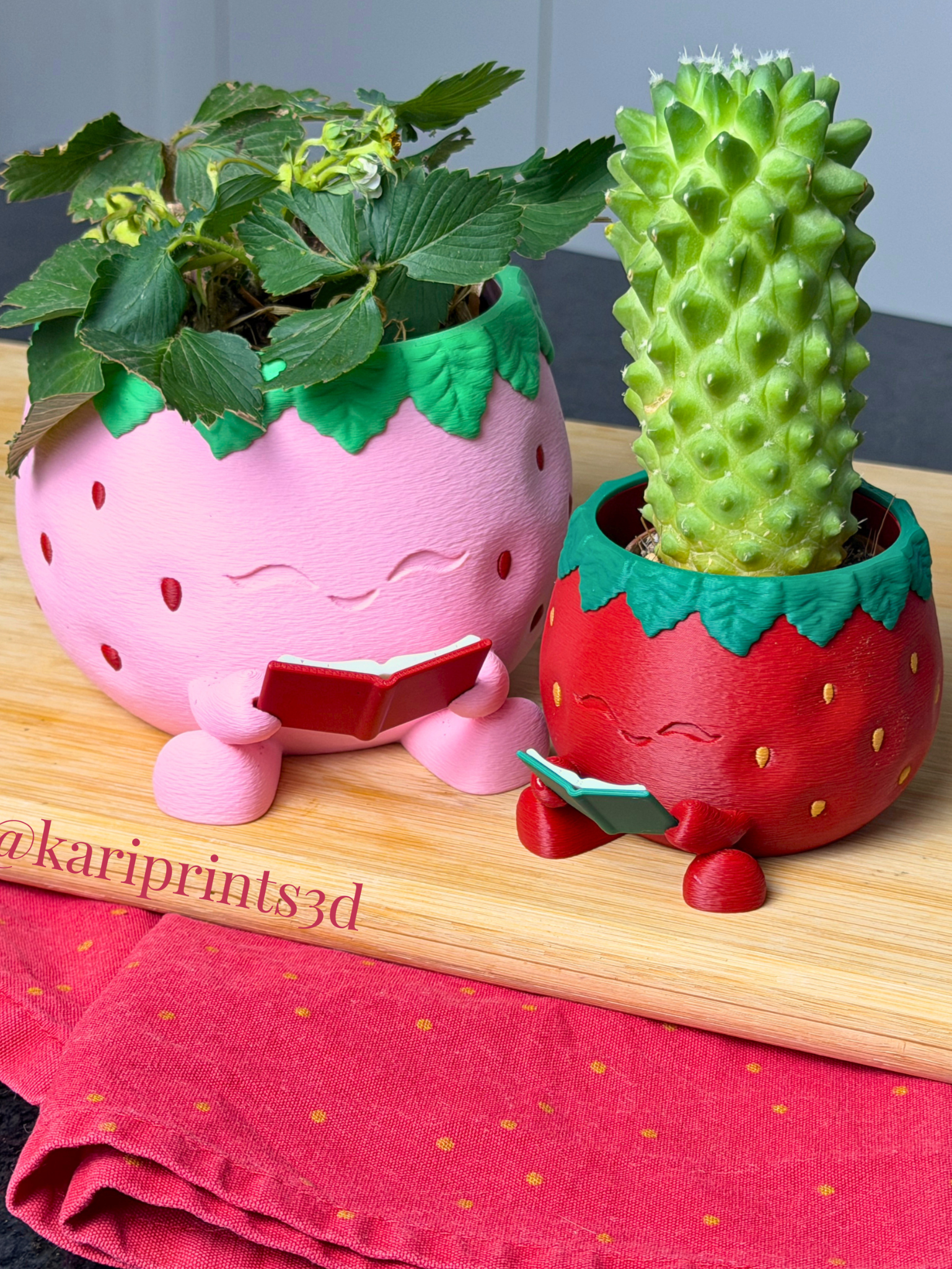 Strawberry Reading Planter