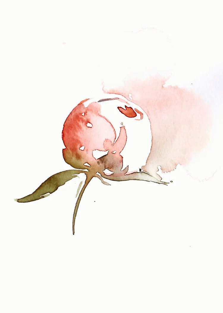 16. peony 2 (5x7).jpg