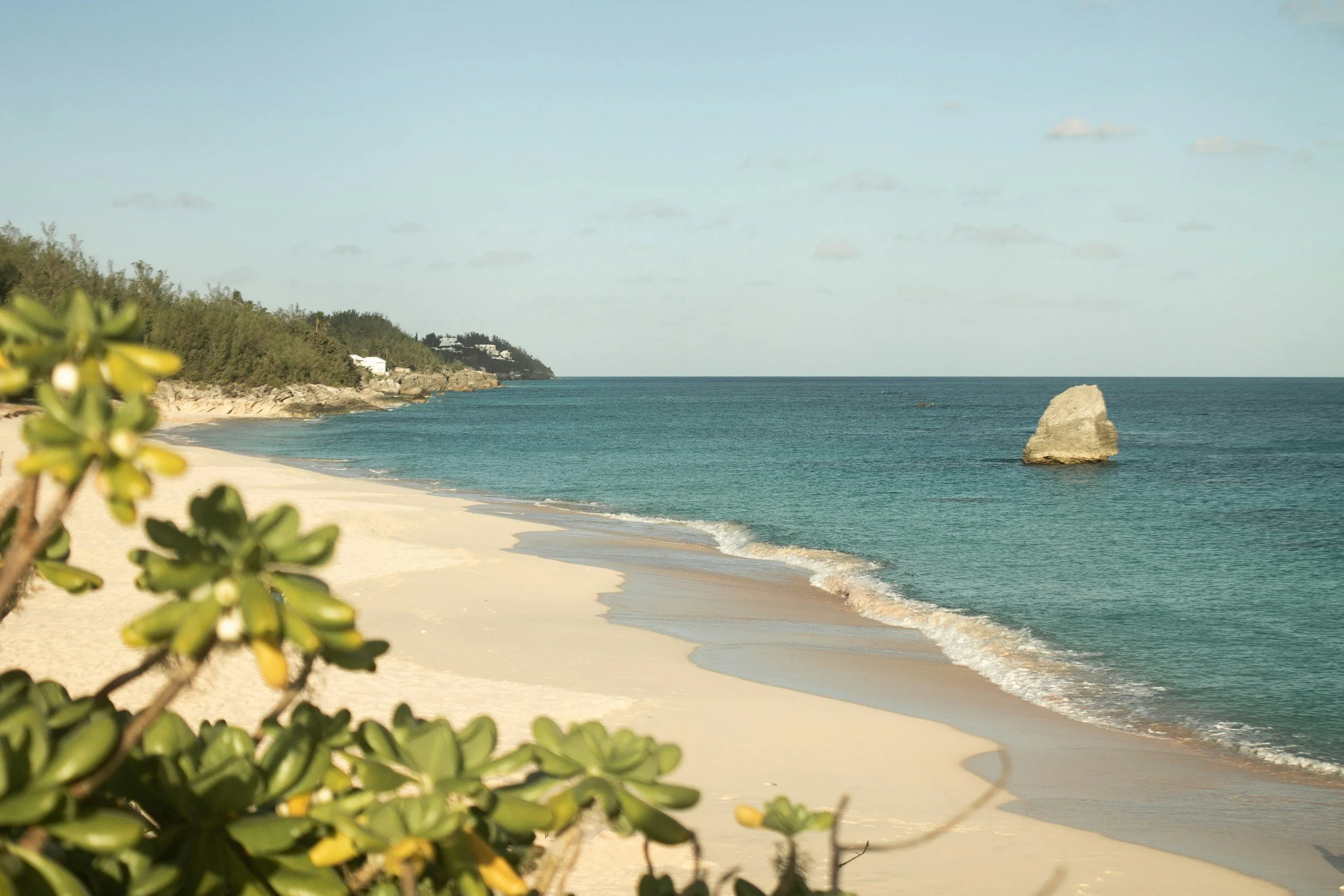 Seaside view of a meandering coastline framed by rocks, homes, and lush trees. Blurred leaves take up the leftmost side of the foreground. A large rock sits strong amongst the calm waves.