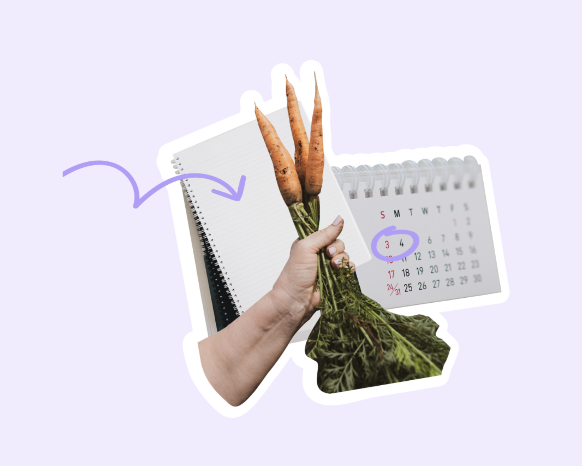 La récolte de la tournée 2022-23 de la Relance des Rendez-vous annuels