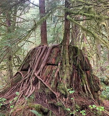 Perspectives autochtones à propos de vieillir et de mourir