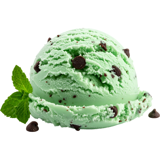 Mint chocolate chip ice cream scoop with chocolate chips and mint leaves.