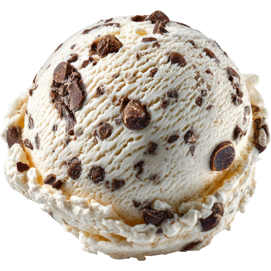 A scoop of vanilla ice cream with chocolate chips on top.