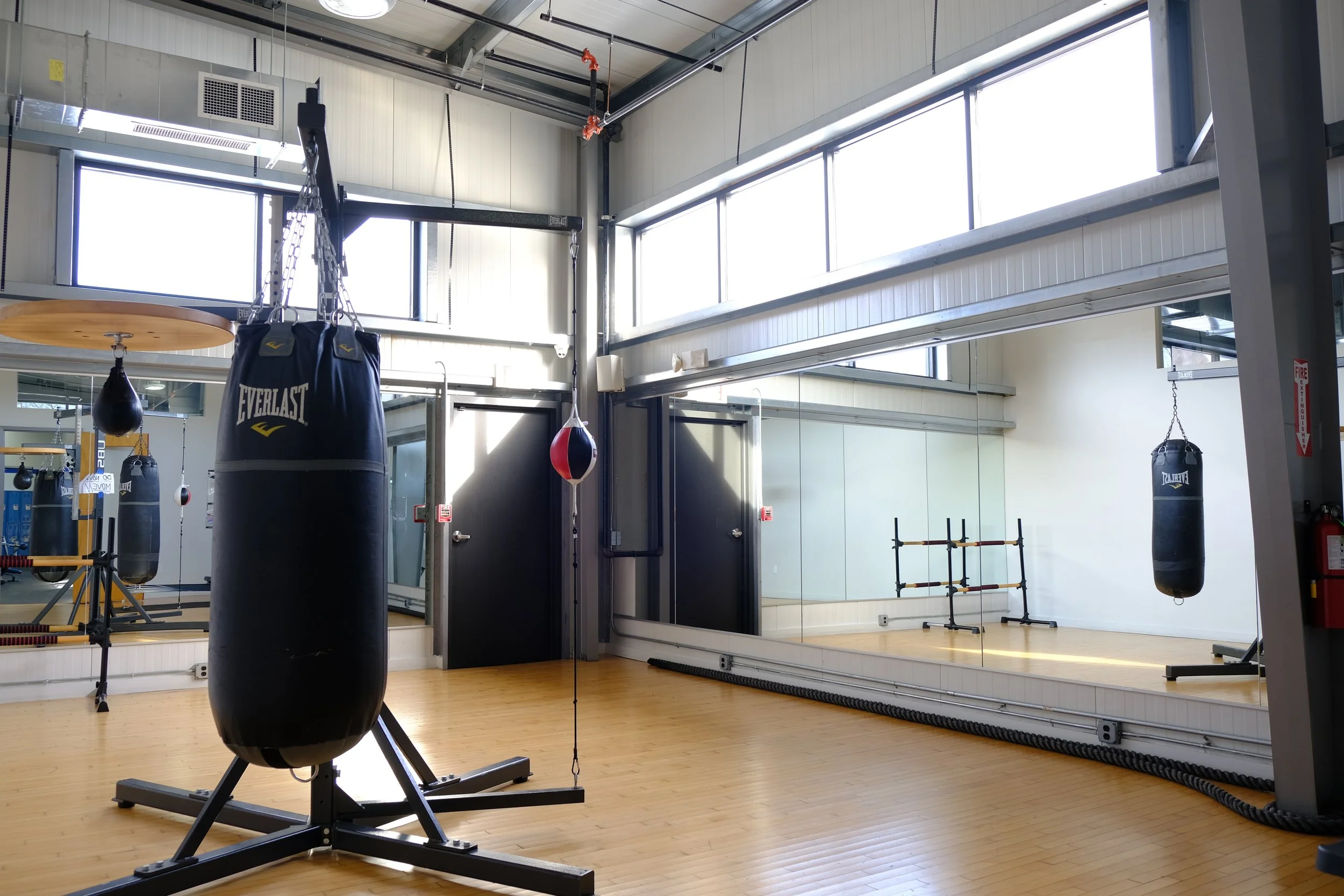 Empty boxing gym with hanging punching bags, mirrored wall, and wooden floor.