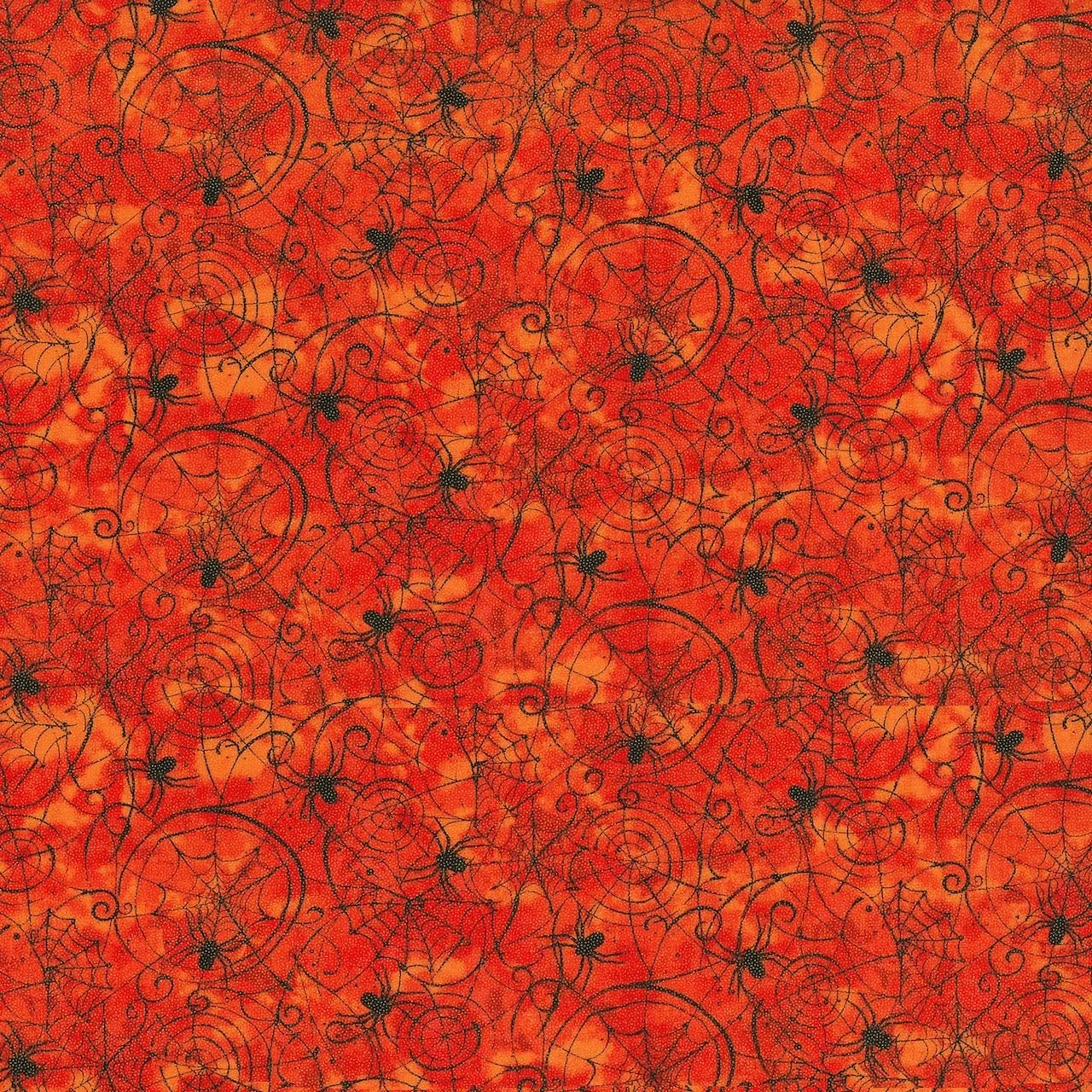 spiderwebs.jpeg (Copy) (Copy) (Copy) (Copy)