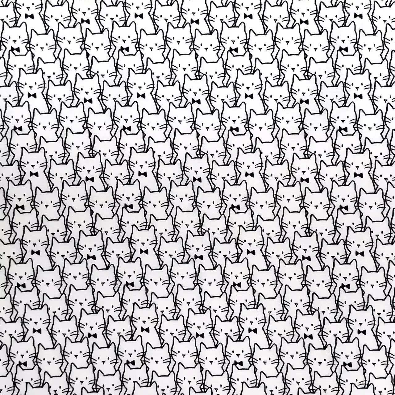 Fancy Cat.jpeg (Copy) (Copy) (Copy) (Copy)