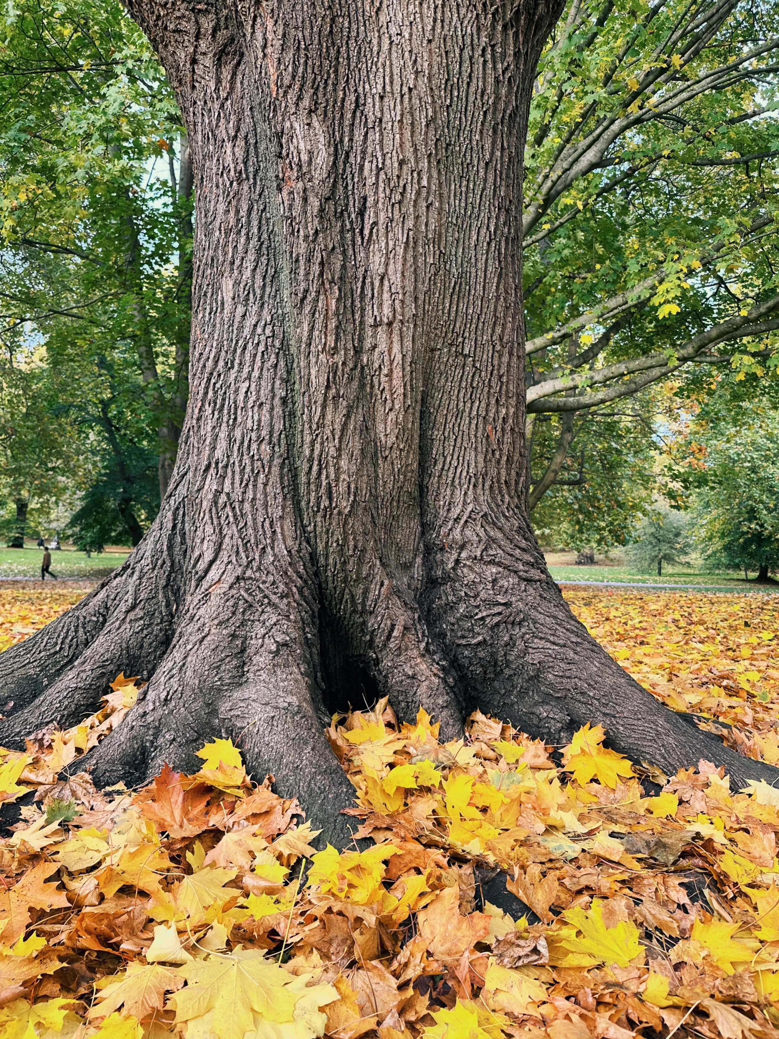 Do I Really Need Therapy If I’m Still Functioning?