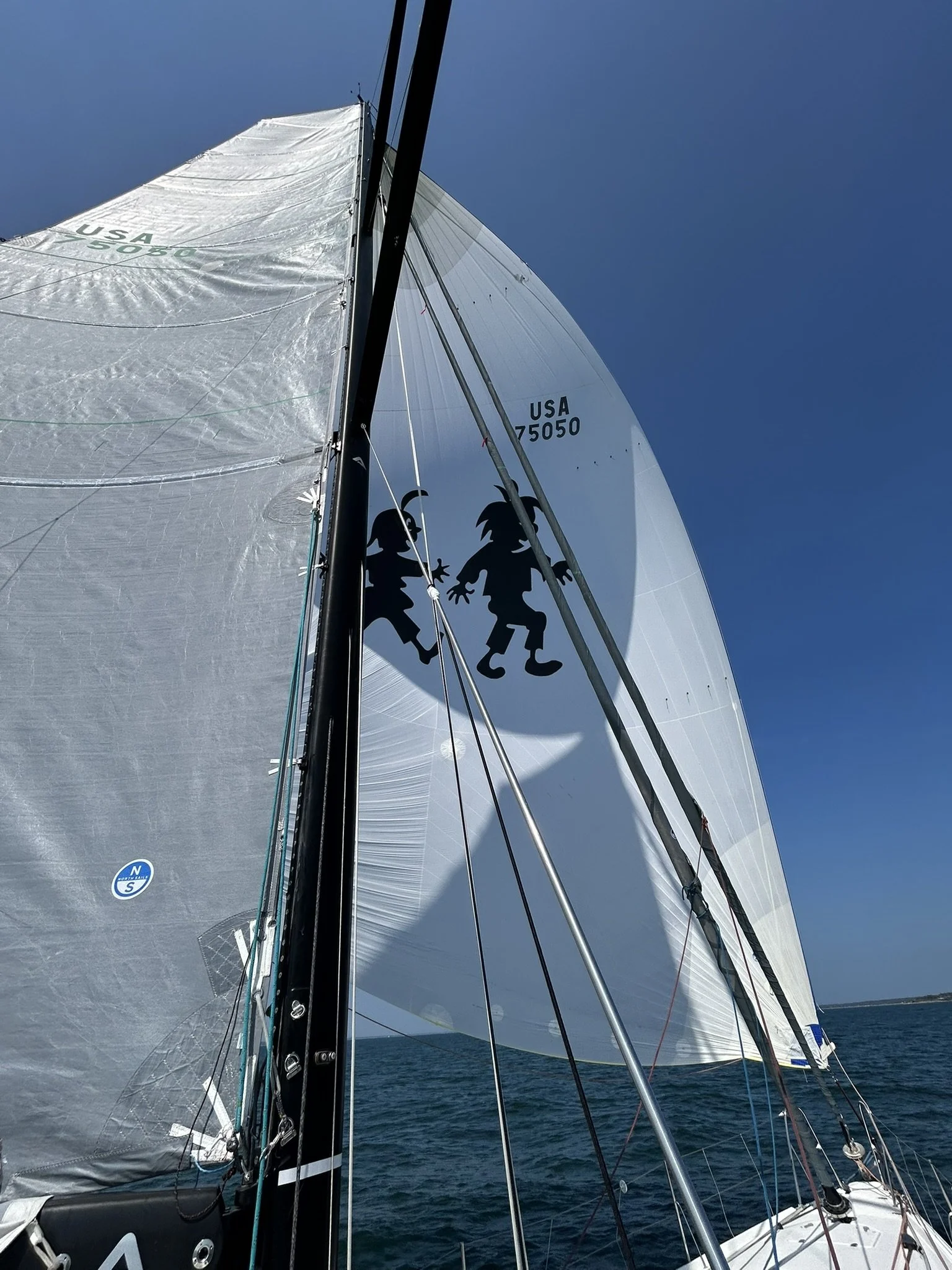 View from the deck of a sailboat showing large white sails with a black dolphin silhouette design, the ocean, and a clear blue sky.