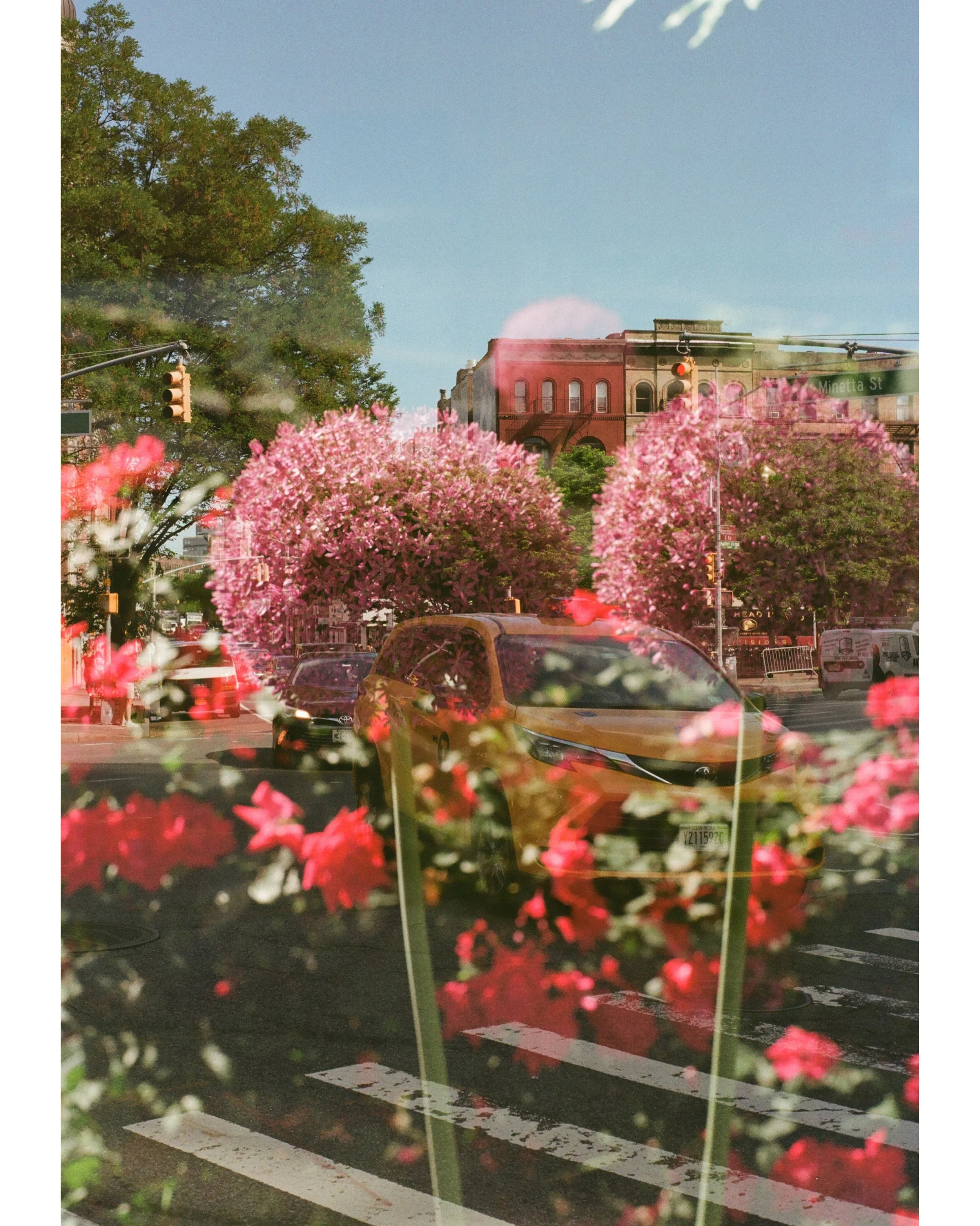 Semana passada foi o dia mundial da fotografia ent&atilde;o me deu vontade de compartilhar uma pequena cole&ccedil;&atilde;o de duplas exposi&ccedil;&otilde;es que eu amo 🖤

Algumas no digital, algumas em filme e uma (provavelmente a minha favorita)