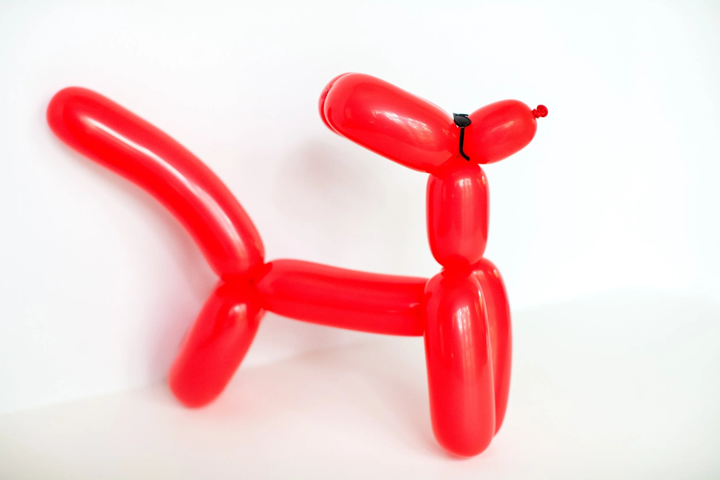 Red Dog Balloon with sun glasses balloon twisting example