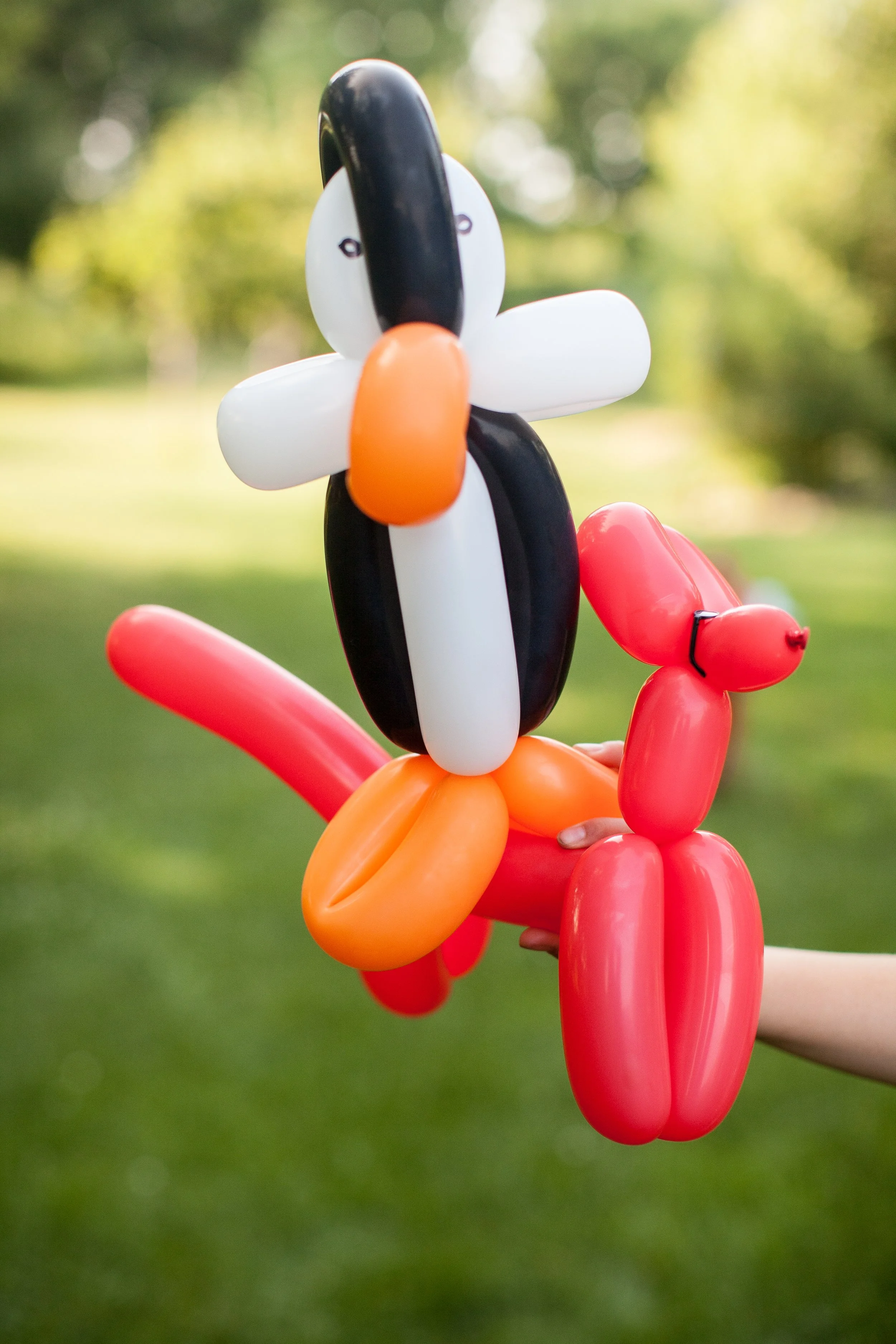 Child playing with balloon twisted penguin and red dog