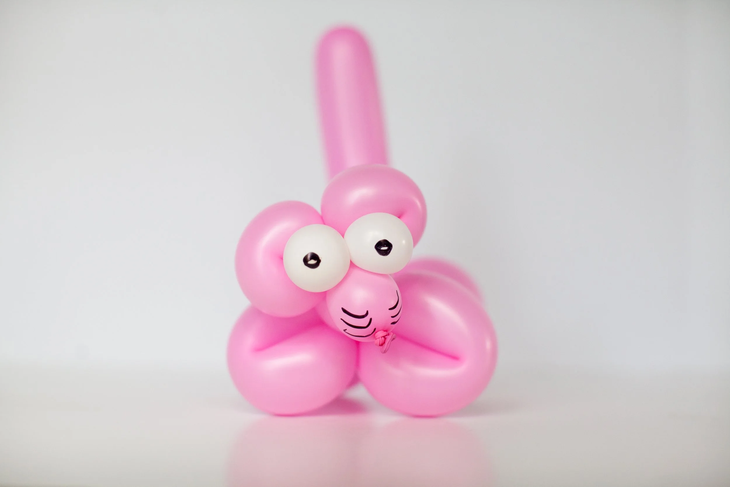 Pink Cat balloon twisting example