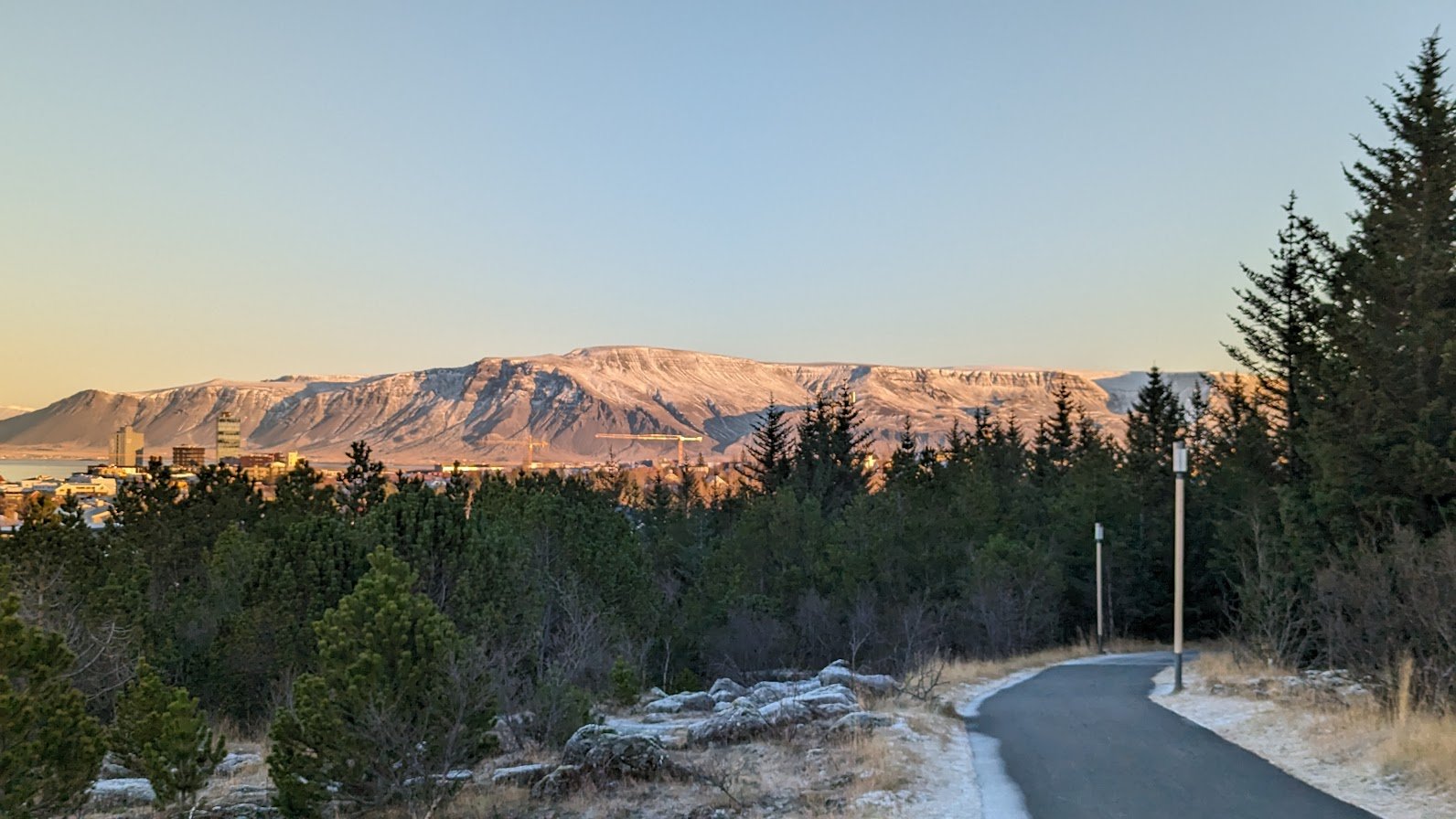 A winding paved trail through a forest of evergreen trees with a view of snow-capped mountains in the distance at sunset.