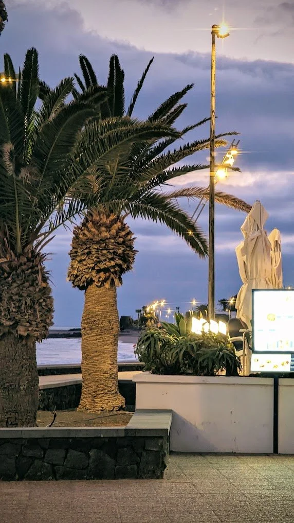 A tropical outdoor scene at dusk with two palm trees, outdoor lighting, a statue, and a menu board near the water.