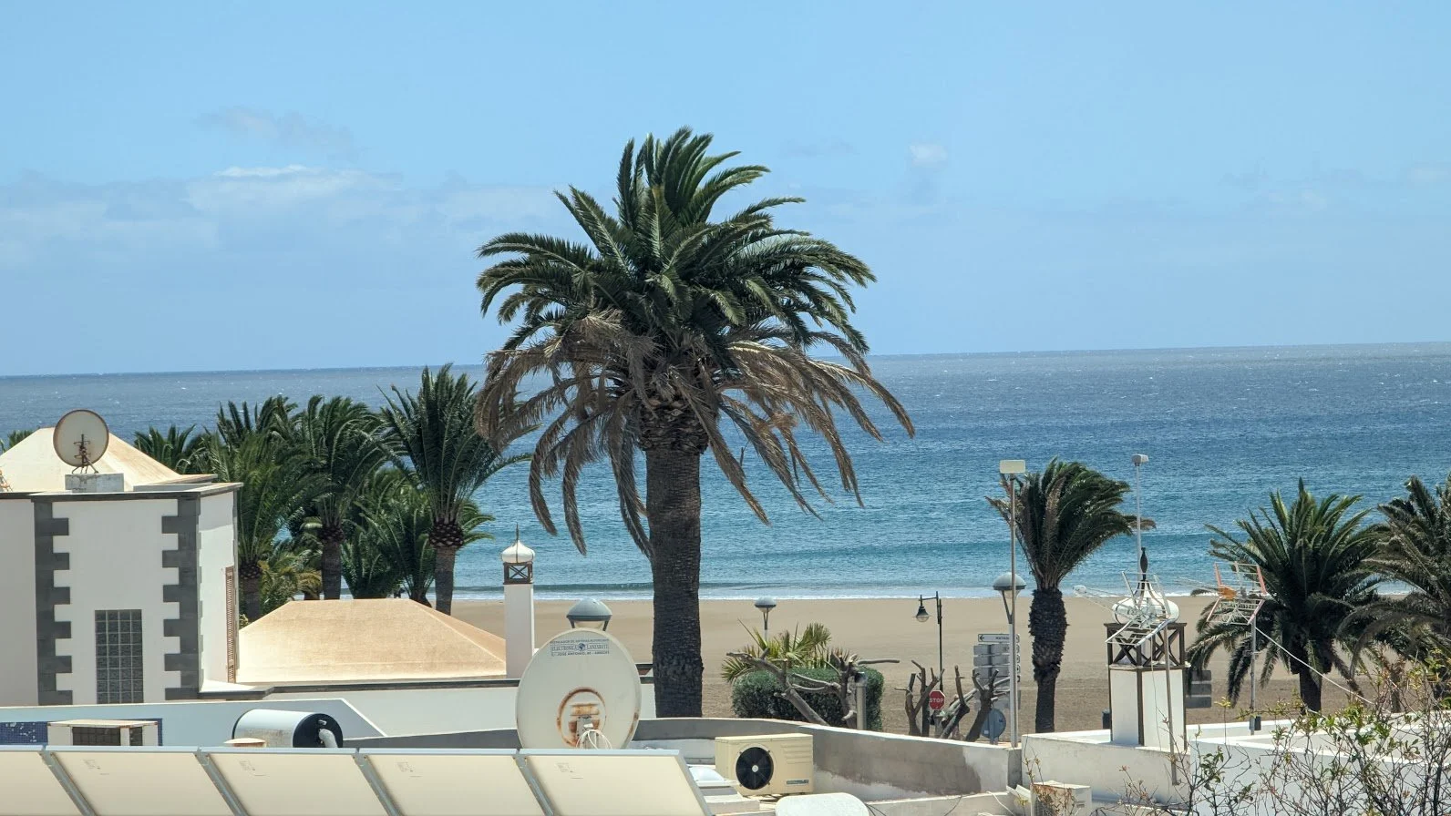 View of a beach with palm trees, buildings, and the ocean in the background during daytime.
