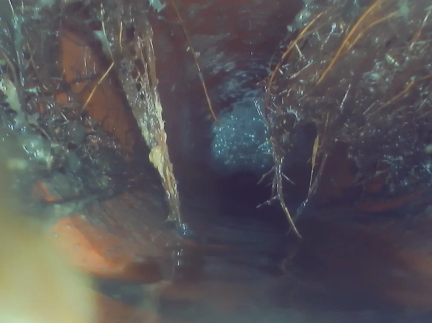 SEWER INSPECTIONS AND LOCATE