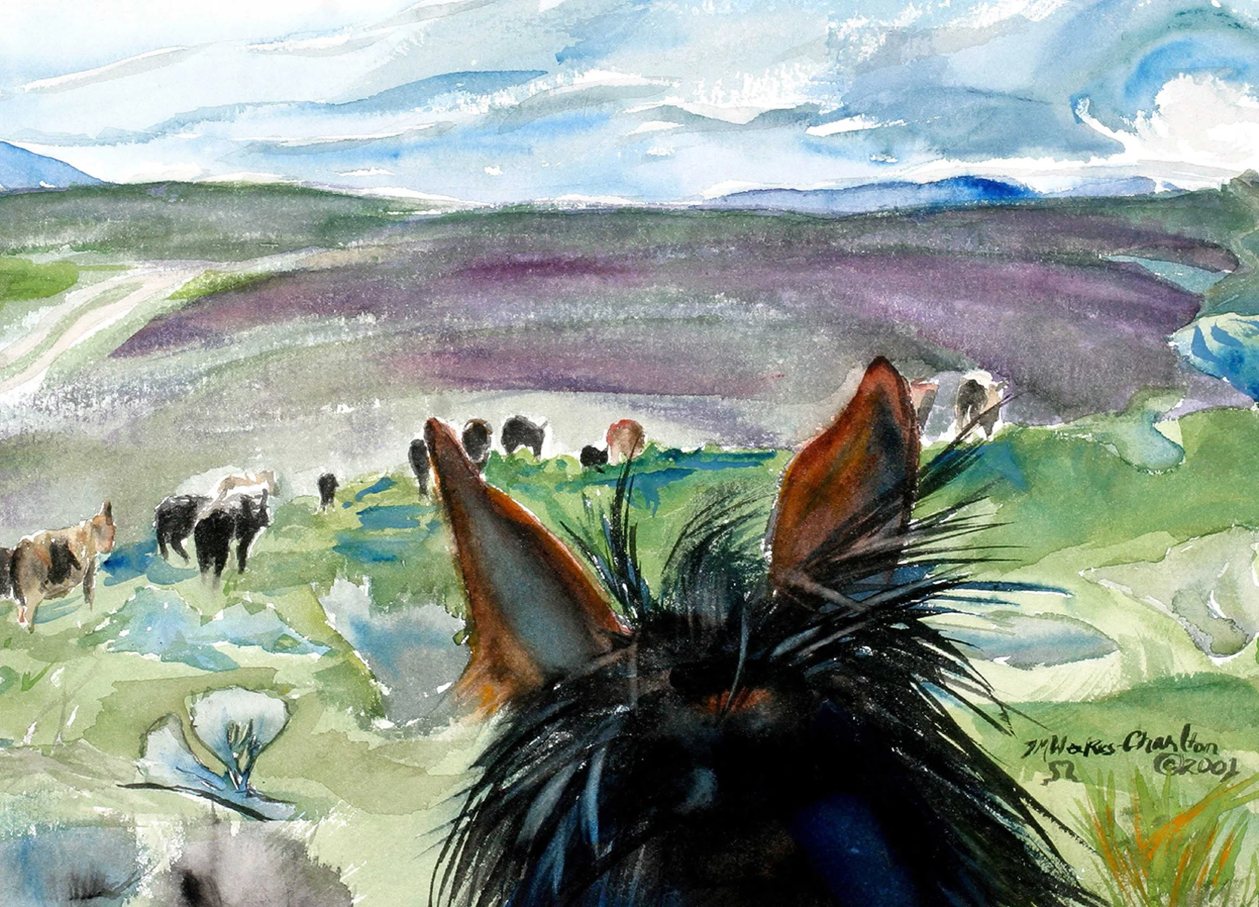 Cows Over Cowiche Canyon